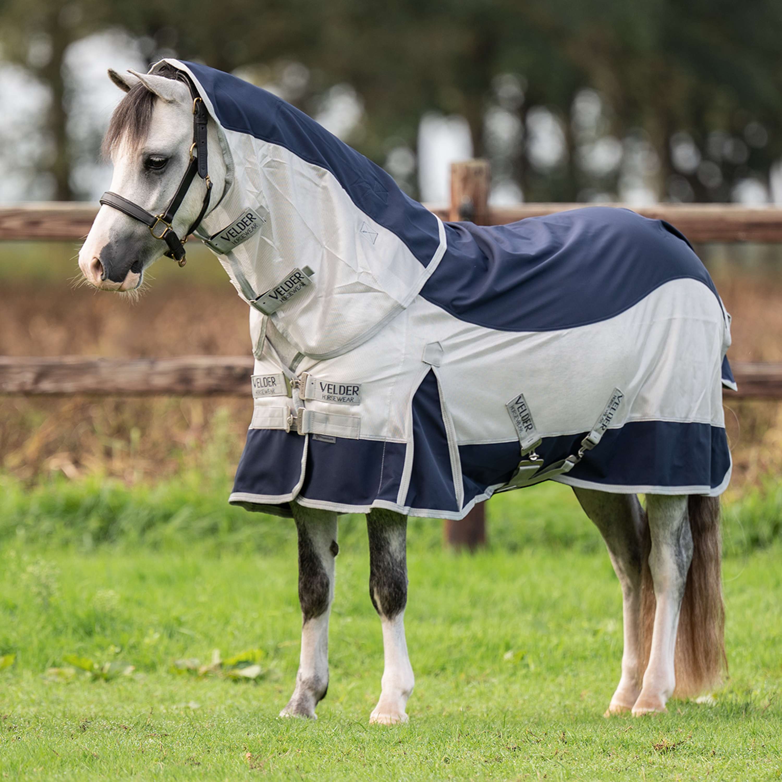 Velder Horsewear Premium Pony Coperta Antimosche Rainless Fall Navy/Pearl Silver