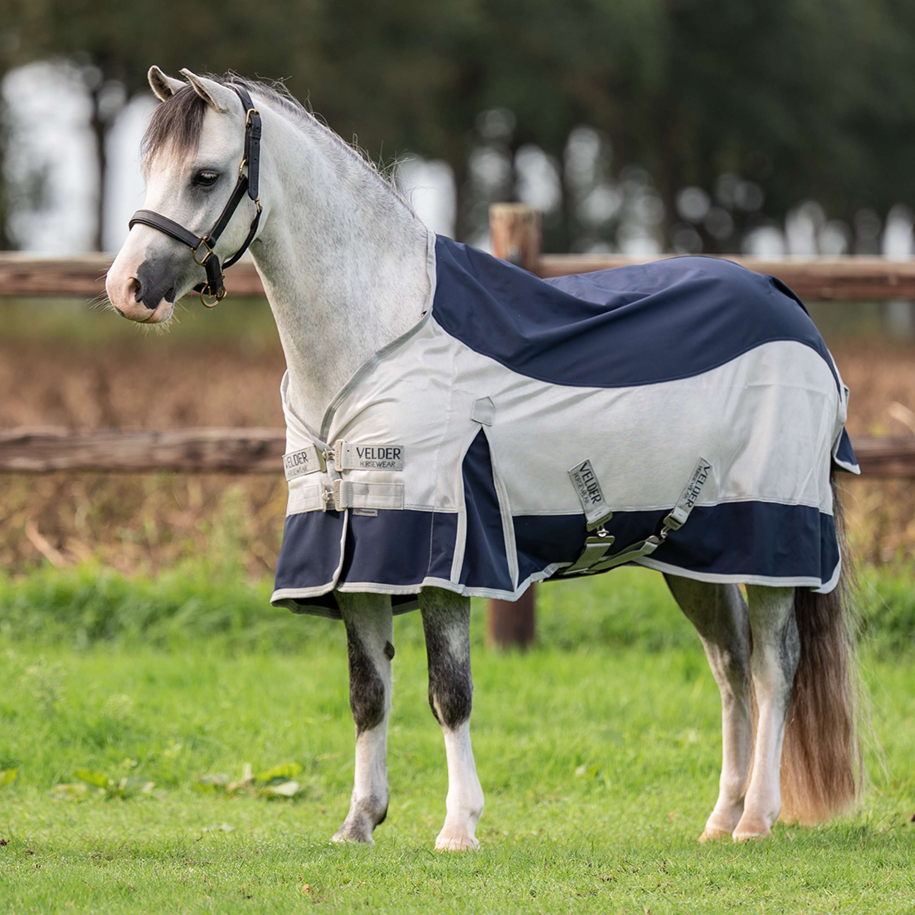 Velder Horsewear Premium Pony Coperta Antimosche Rainless Fall Navy/Pearl Silver