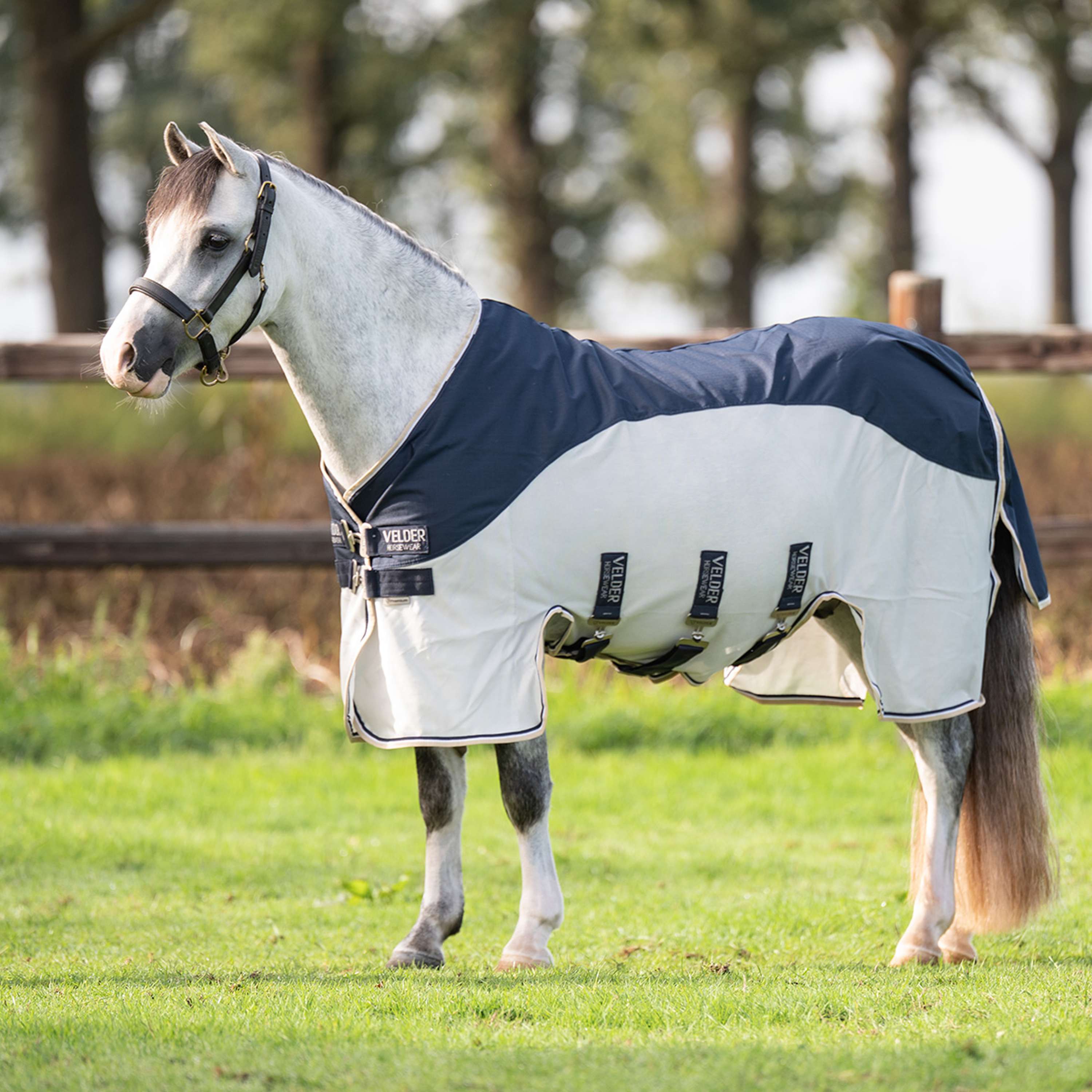 Velder Horsewear Premium Pony Coperta Antimosche Waterproof-Top Navy/Pearl Silver