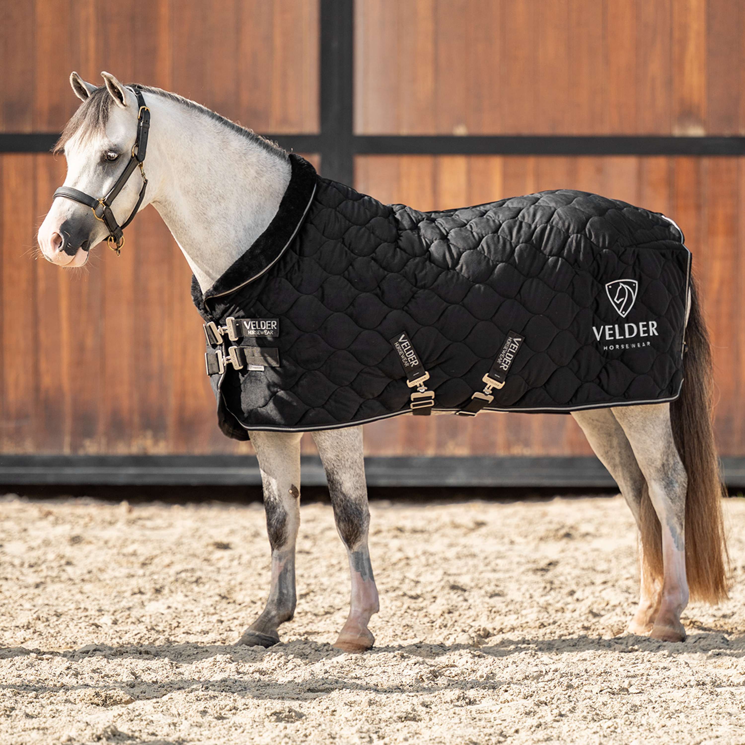 Velder Horsewear Premium Pony Coperta da esposizione Satin Glow Black Night