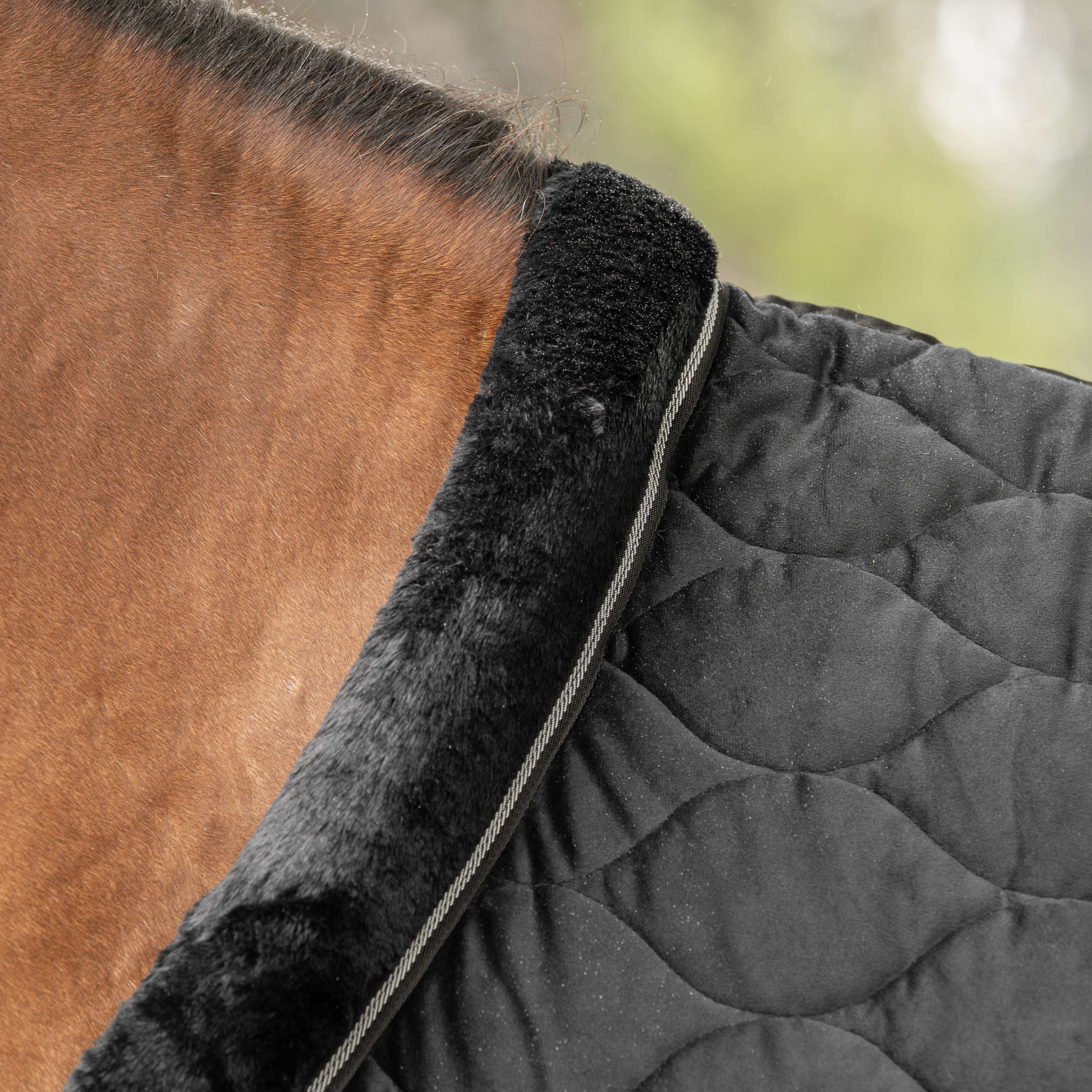 Velder Horsewear Premium Pony Coperta da esposizione Satin Glow Black Night
