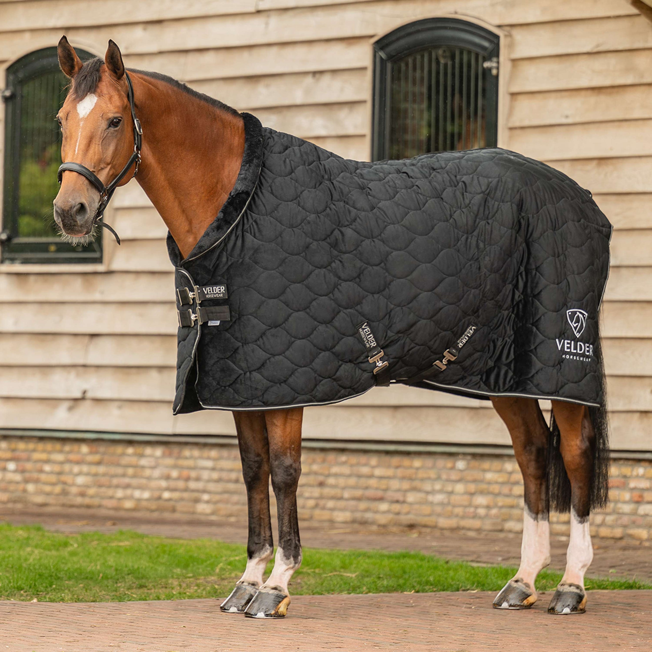 Velder Horsewear Premium Coperta da esposizione Satin Glow Black Night