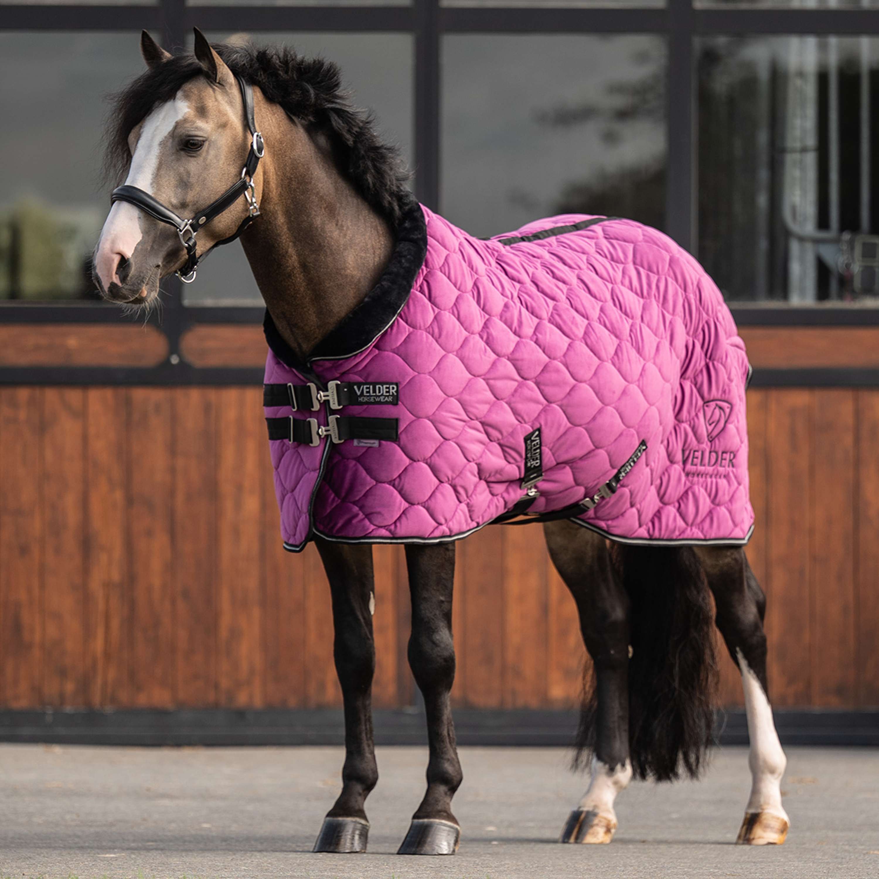 Velder Horsewear Premium Pony Coperta da esposizione Satin Glow Dutch Raspberry