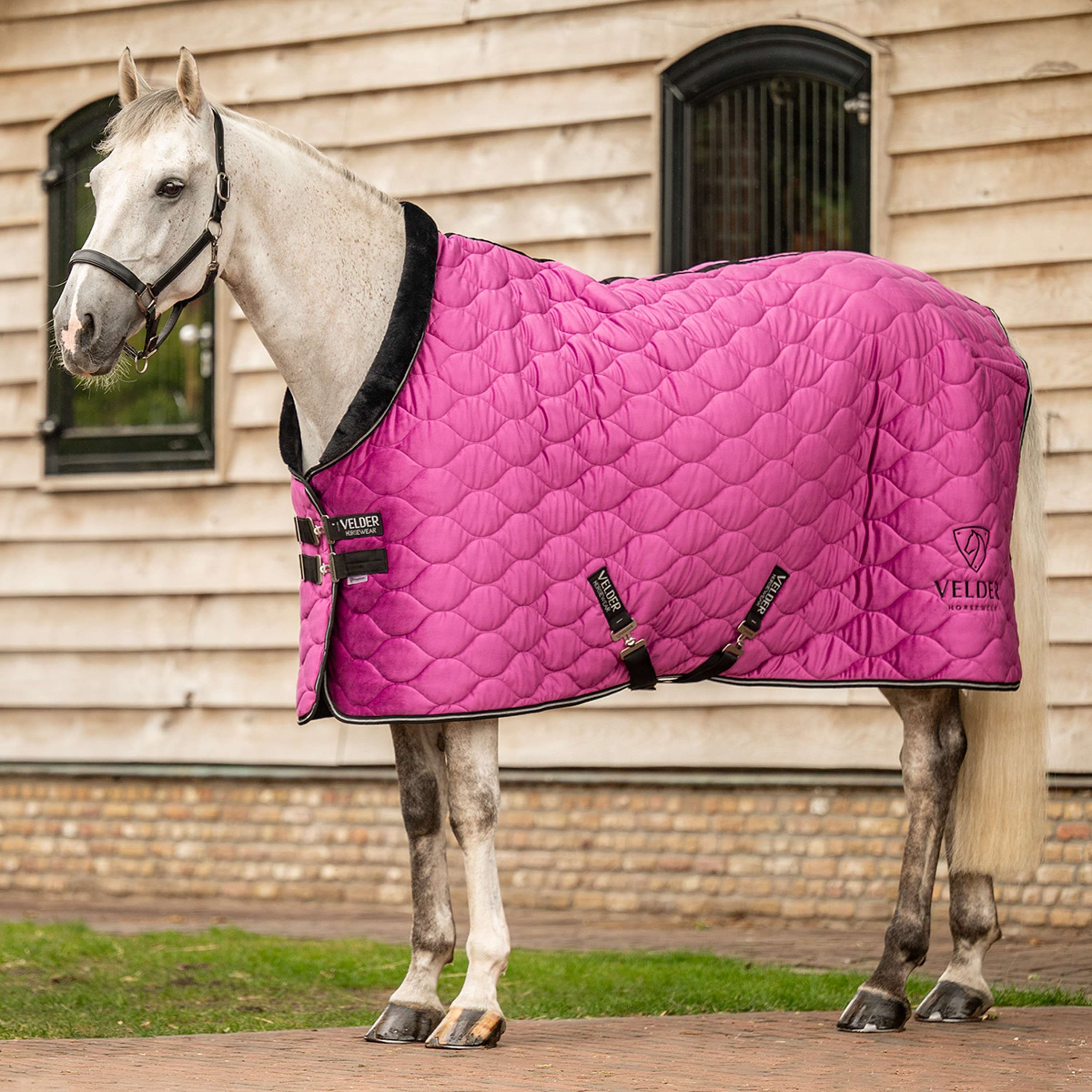 Velder Horsewear Premium Coperta da esposizione Satin Glow Dutch Raspberry