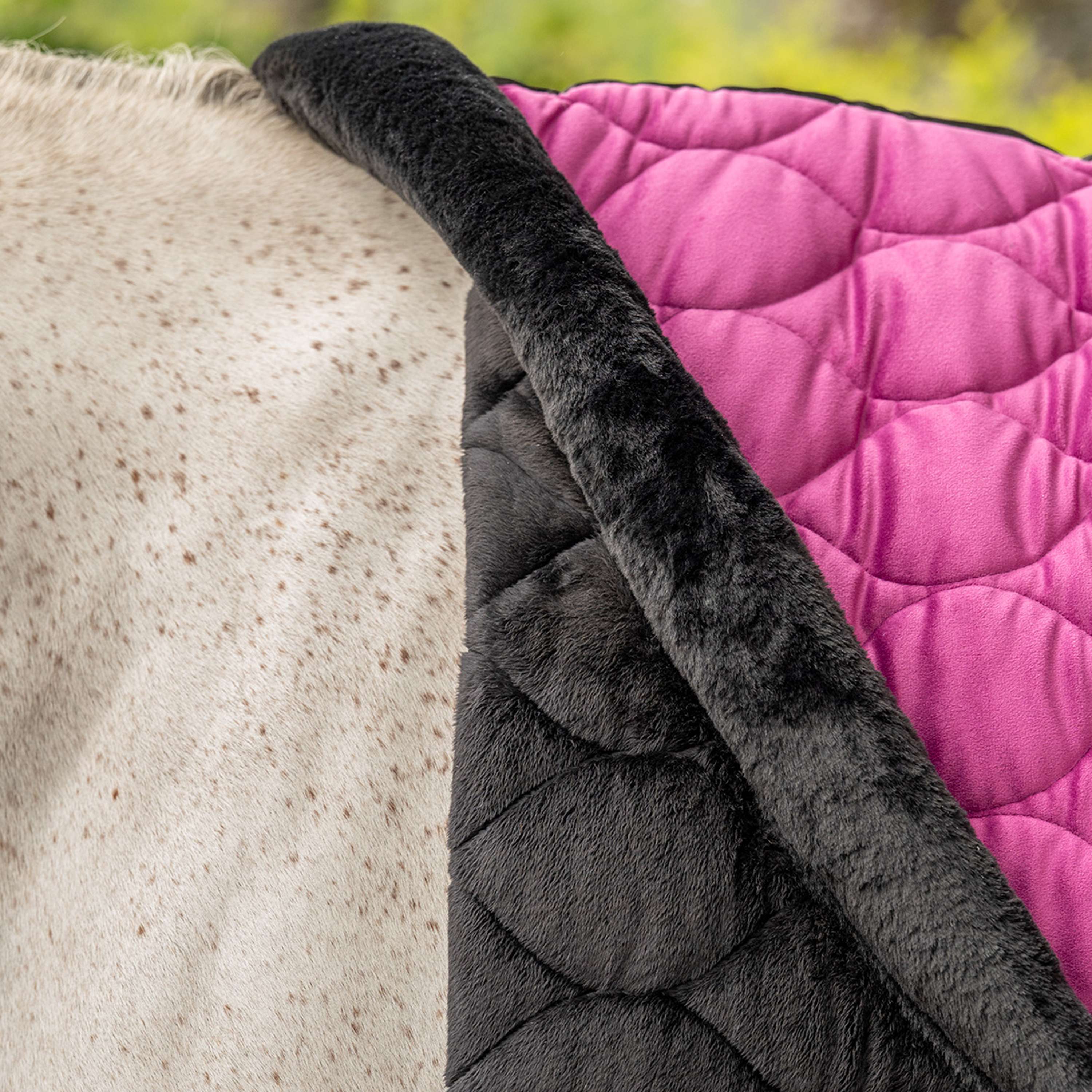 Velder Horsewear Premium Coperta da esposizione Satin Glow Dutch Raspberry