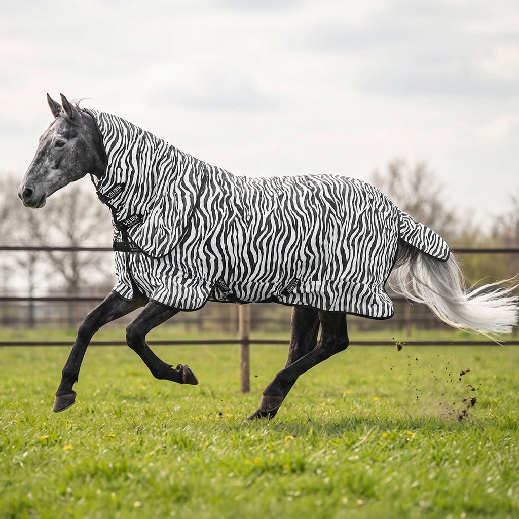 Velder Horsewear Essentials Coperta Antimosche con Collo Zebra Nero/Bianco