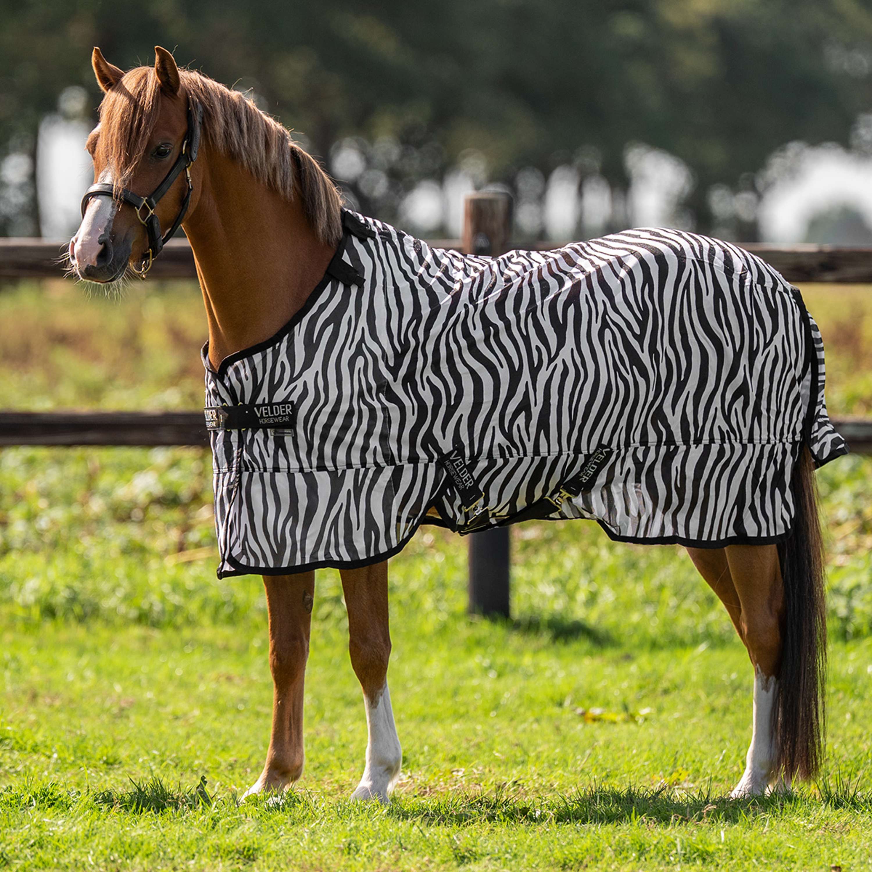 Velder Horsewear Essentials Pony Coperta Antimosche con Collo Zebra Nero/Bianco