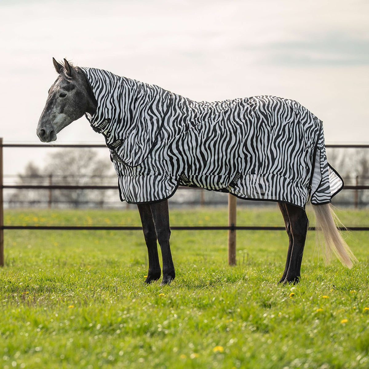 Velder Horsewear Coperta Antimosche con Collo Zebra Nero/Bianco