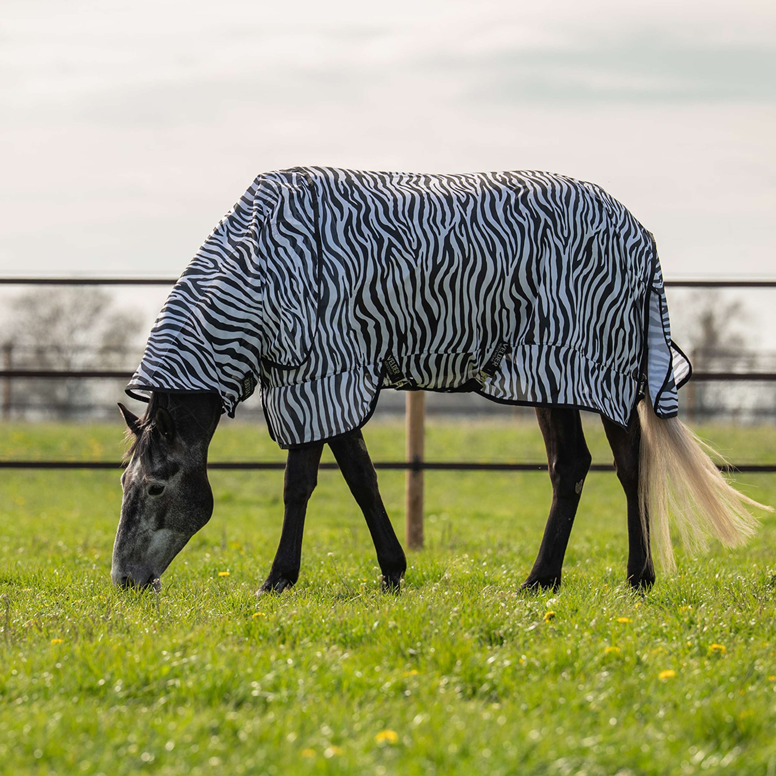 Velder Horsewear Coperta Antimosche con Collo Zebra Nero/Bianco