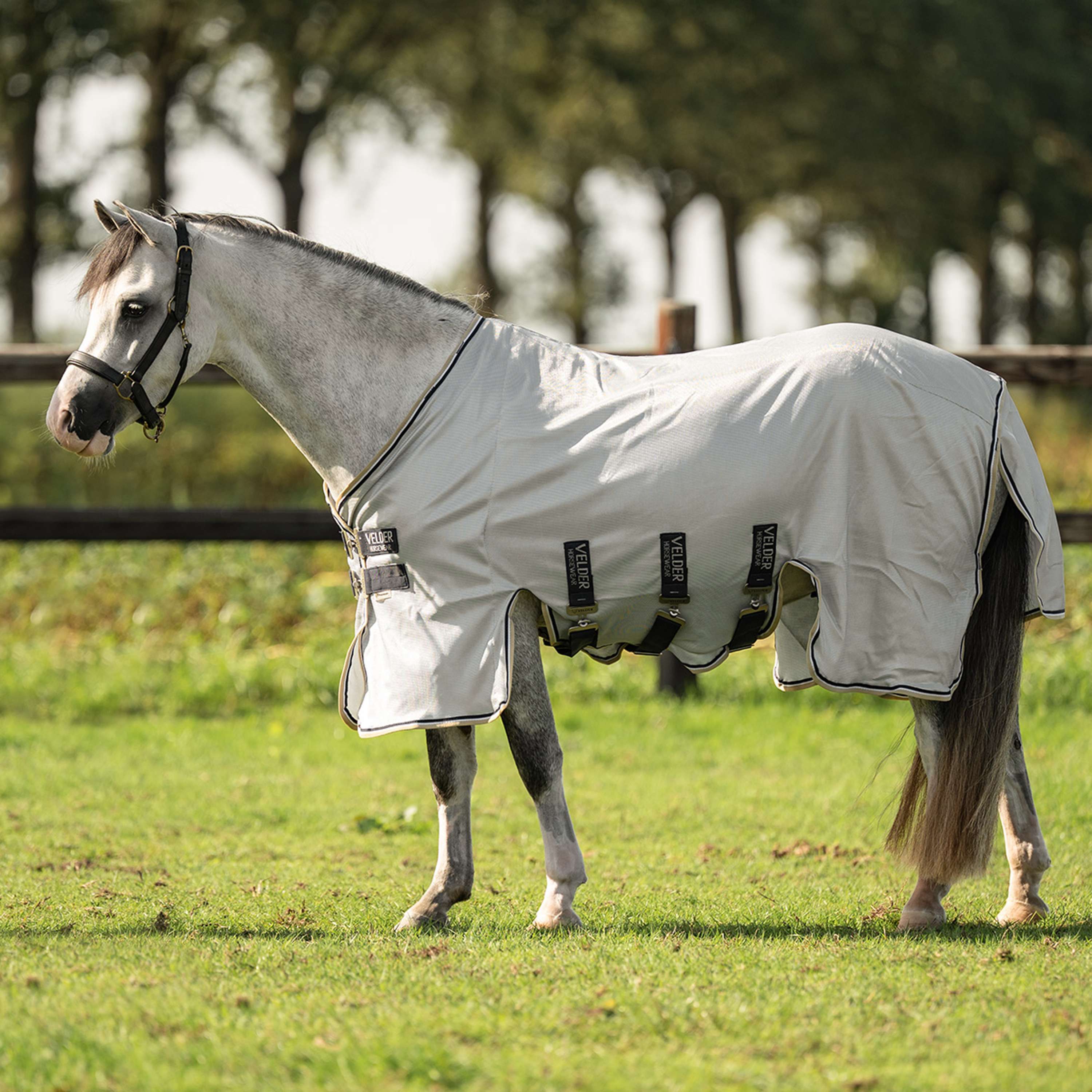 Velder Horsewear Premium Pony Coperta Antimosche Pearl Grey