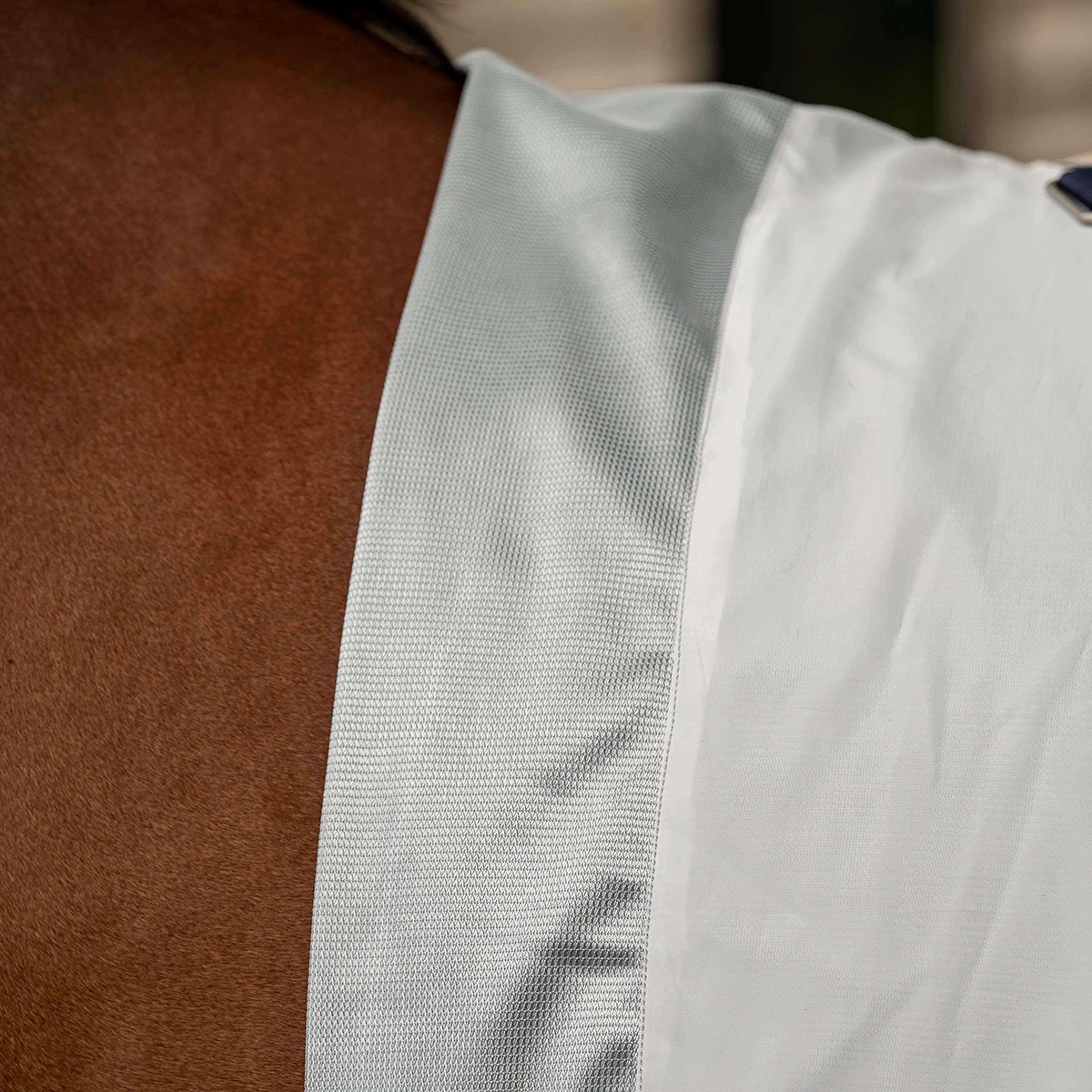 Velder Horsewear Premium Coperta Antimosche Pearl Grey