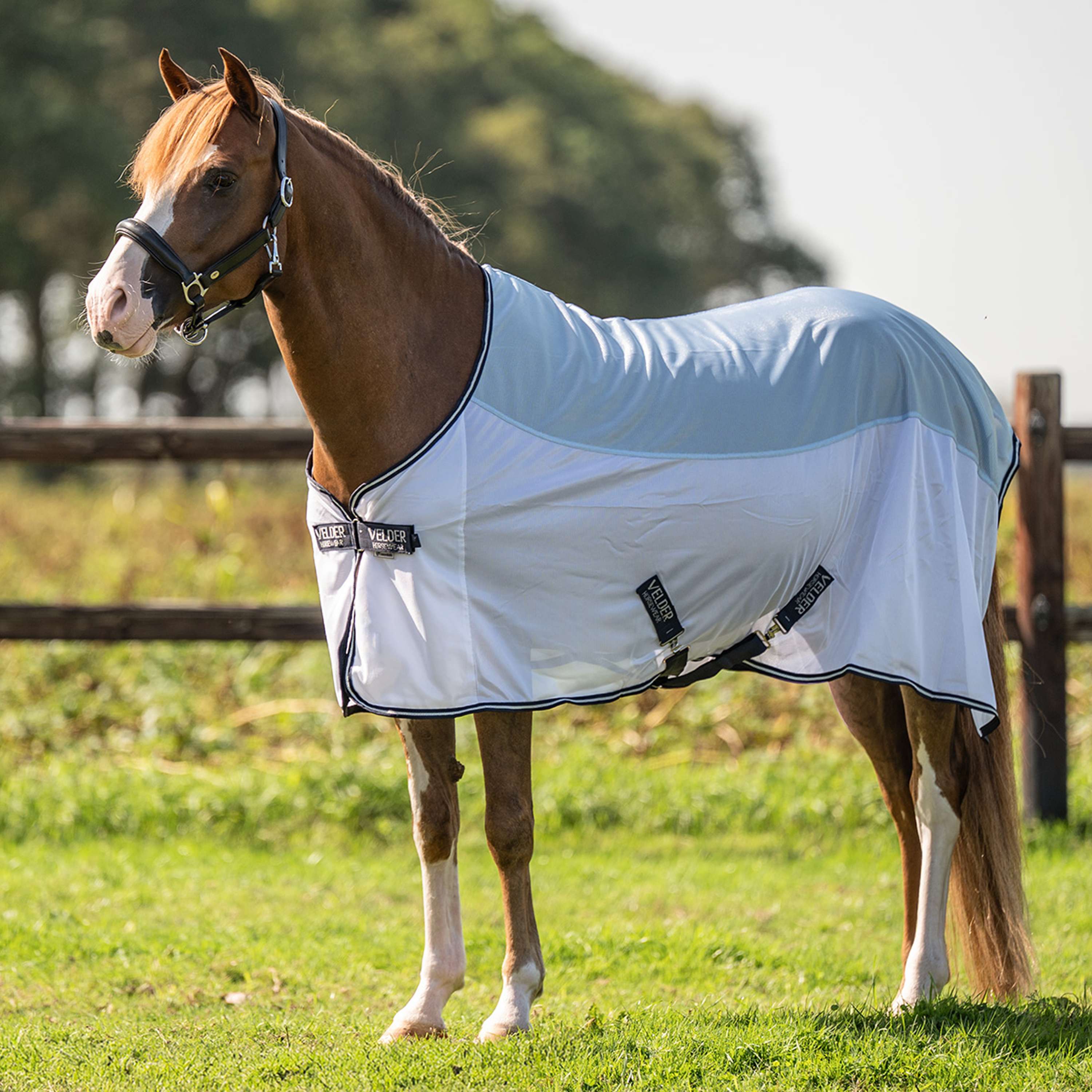 Velder Horsewear Essentials Pony Coperta Antimosche Blush Blue