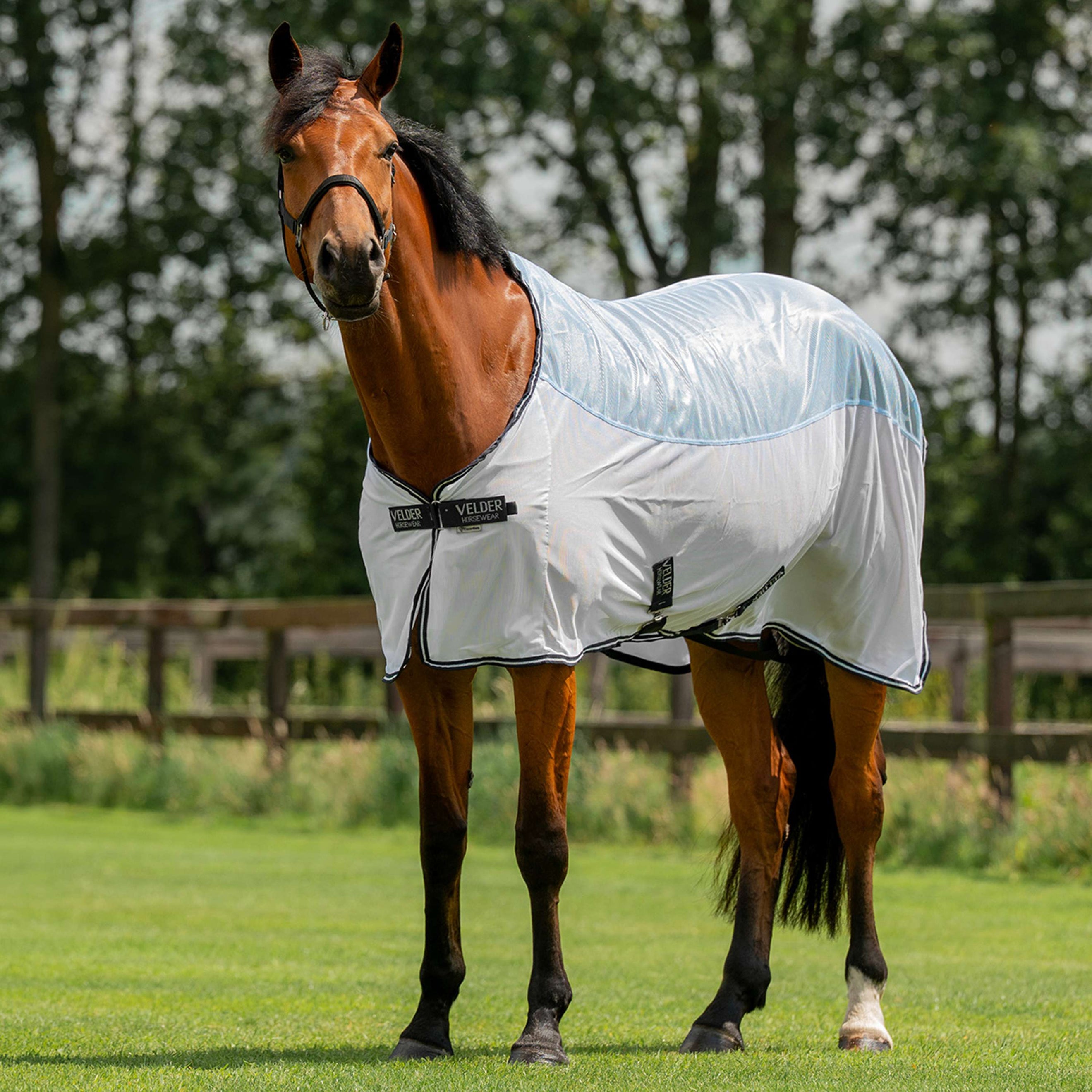 Velder Horsewear Essentials Coperta Antimosche Blush Blue Velder Horsewear Essentials Coperta Antimosche Blush Blue