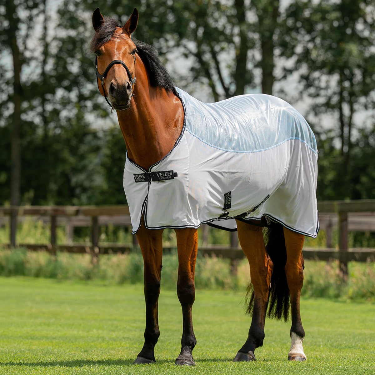 Velder Horsewear Essentials Coperta Antimosche Blush Blue