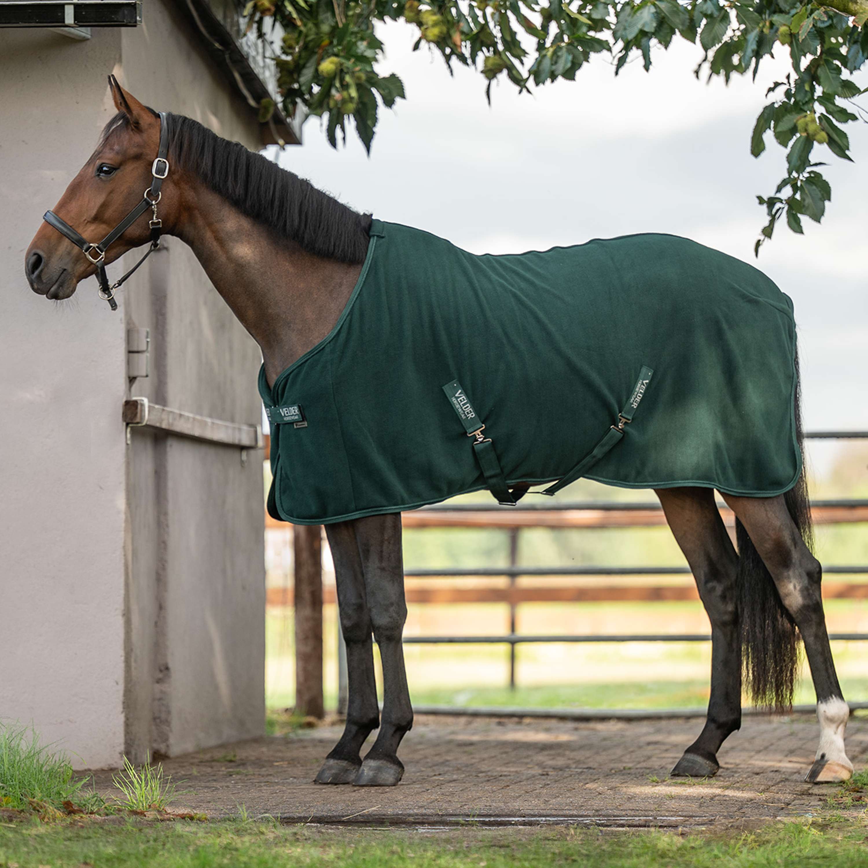 Velder Horsewear Essentials Coperta in Pile Comfy Verde