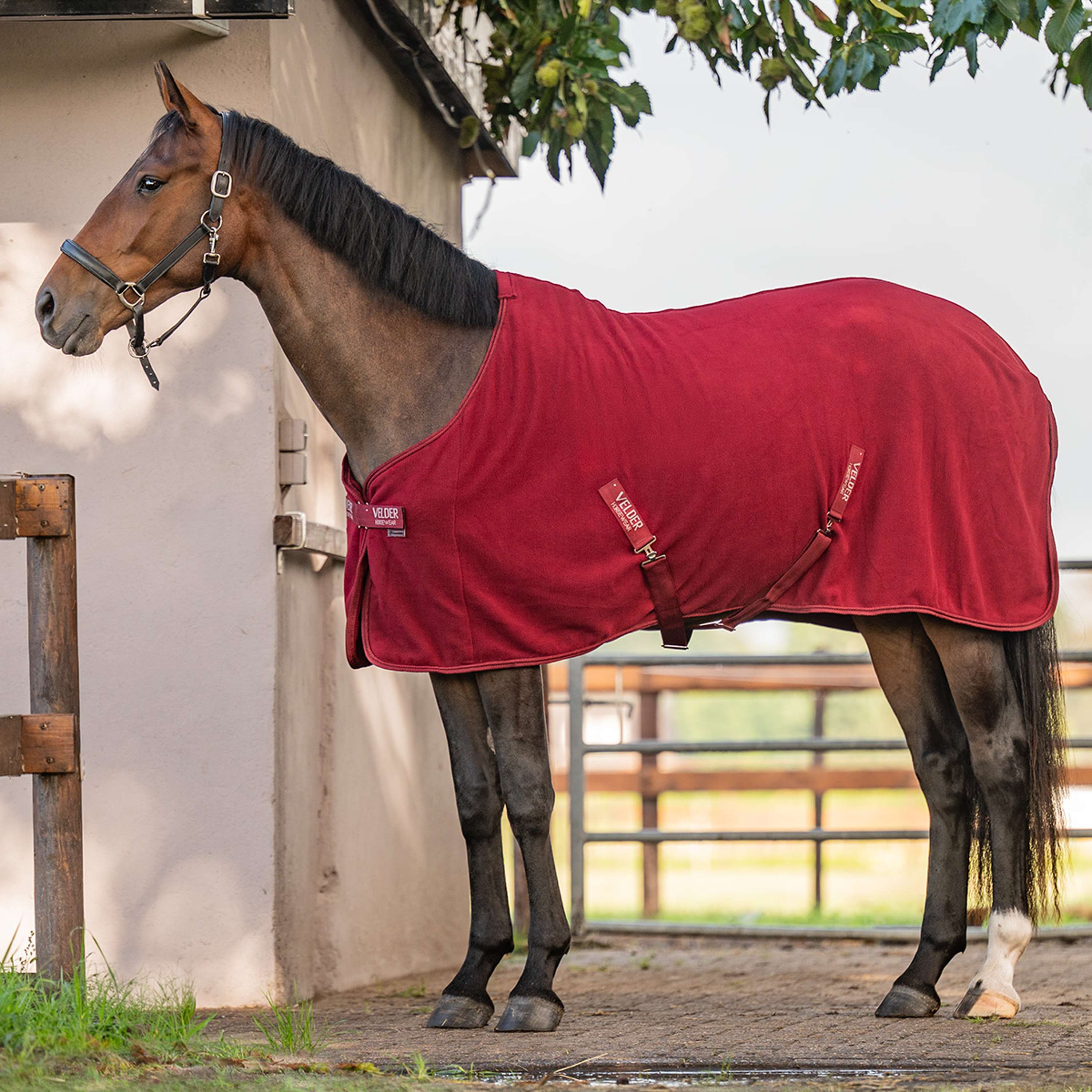 Velder Horsewear Essentials Coperta in Pile Comfy Bordeaux