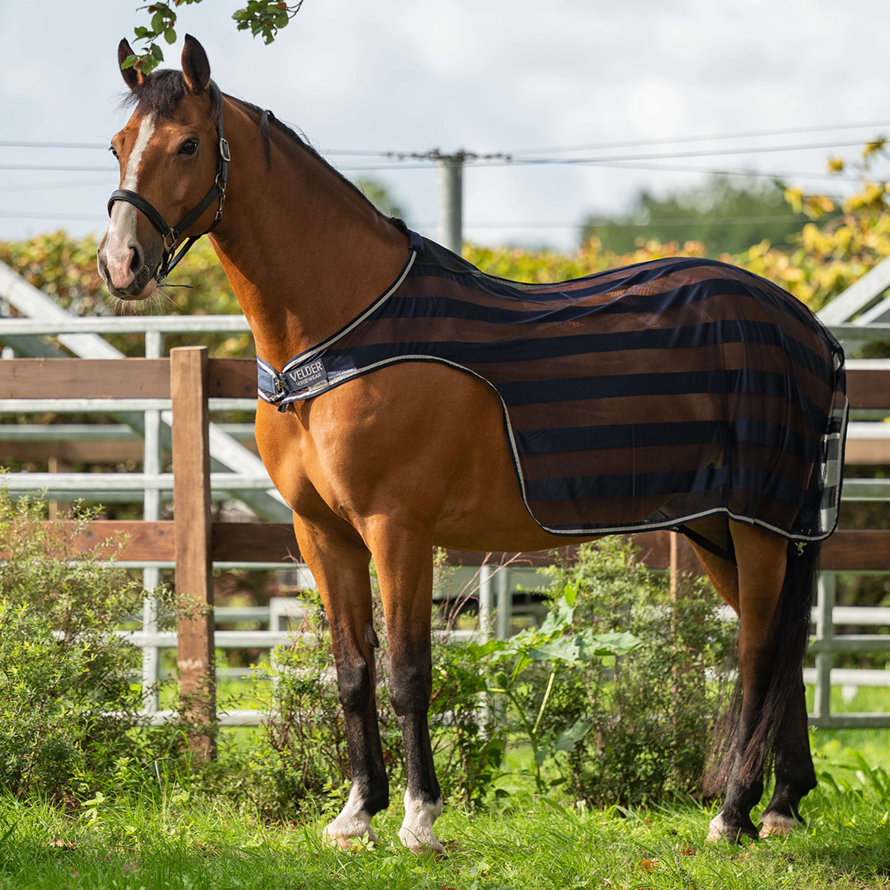 Velder Horsewear Essentials Coperta Tapis Roulant Navy
