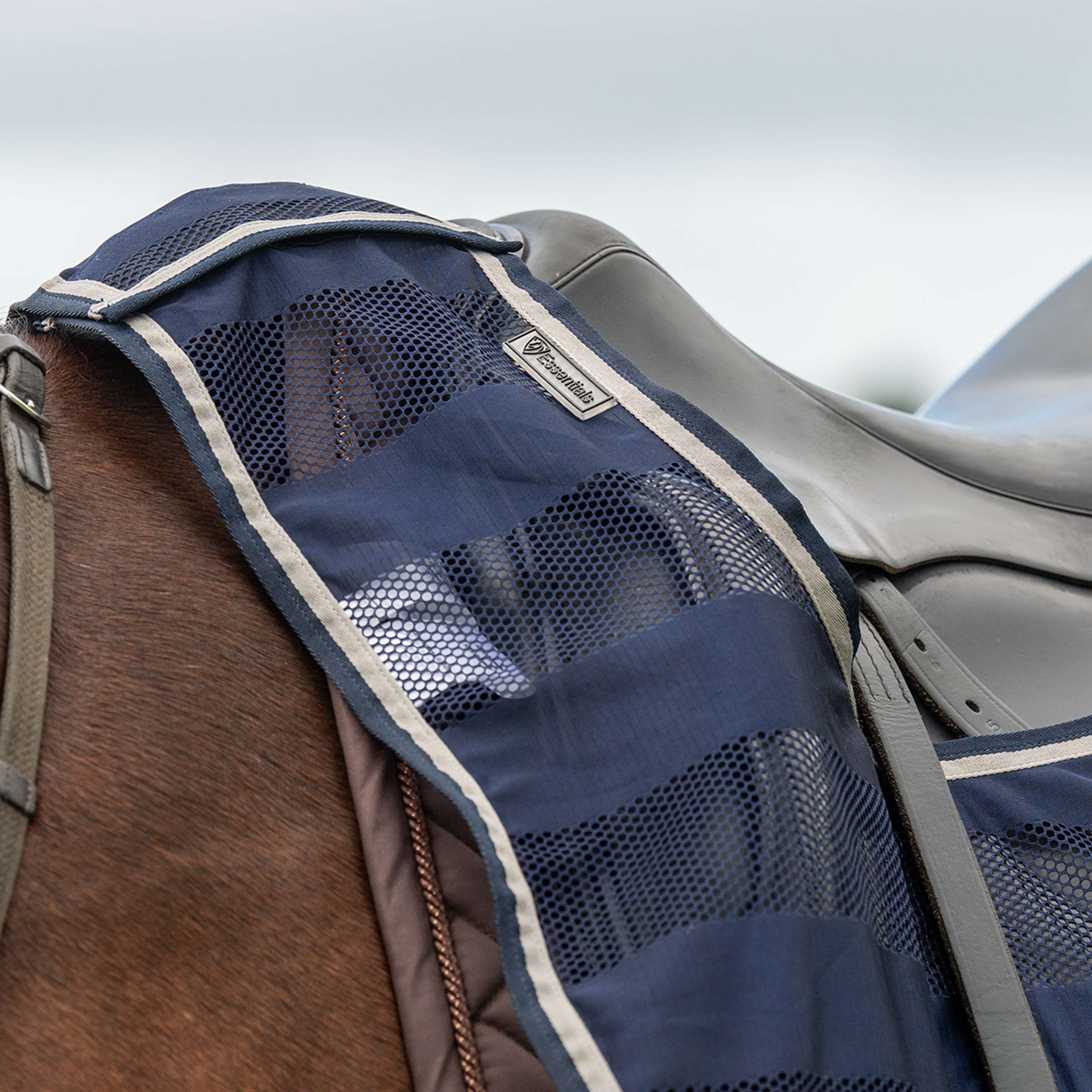 Velder Horsewear Essentials Coperta da esercizio Navy