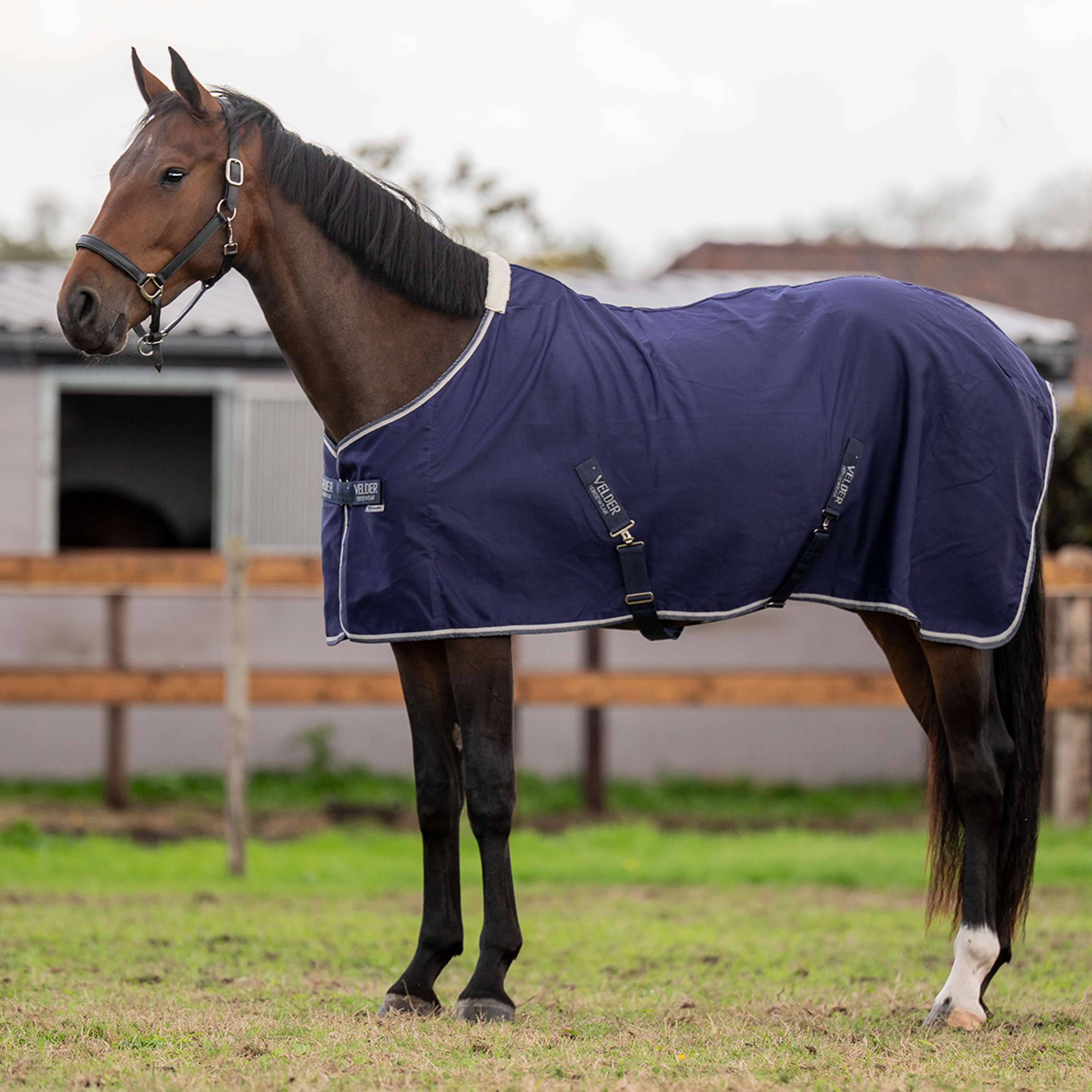 Velder Horsewear Essentials Coperta Estiva Navy