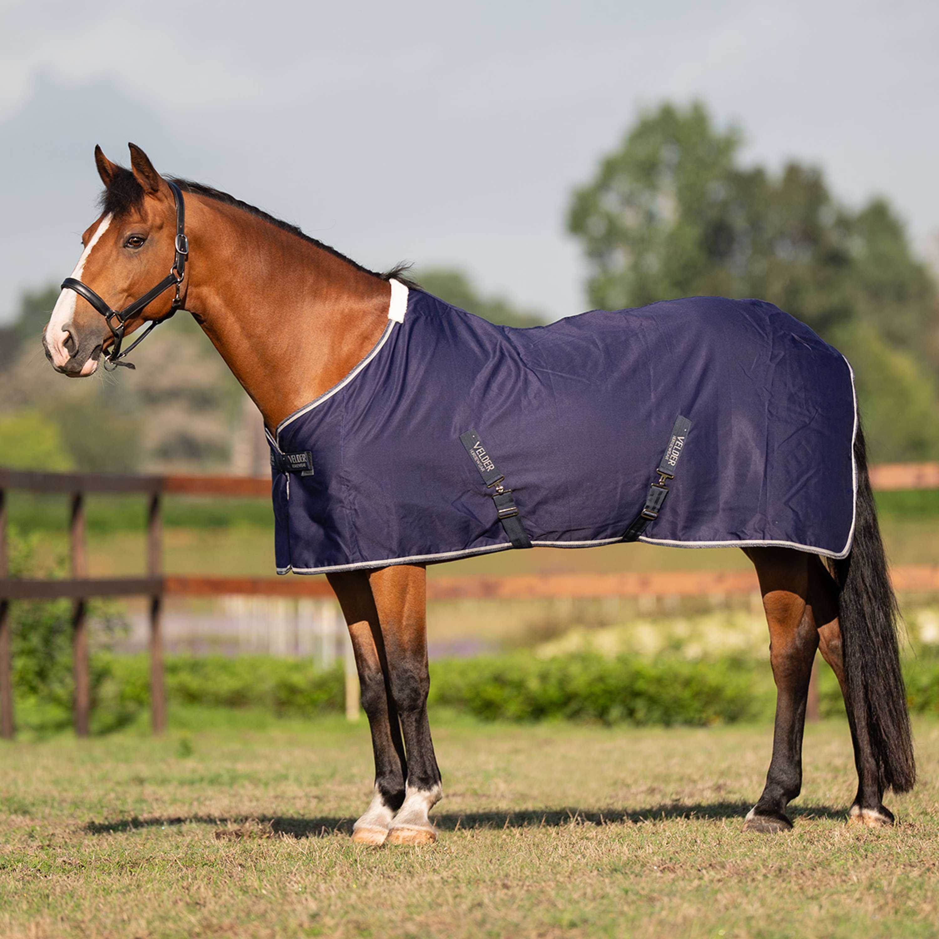 Velder Horsewear Essentials Coperta Estiva Navy