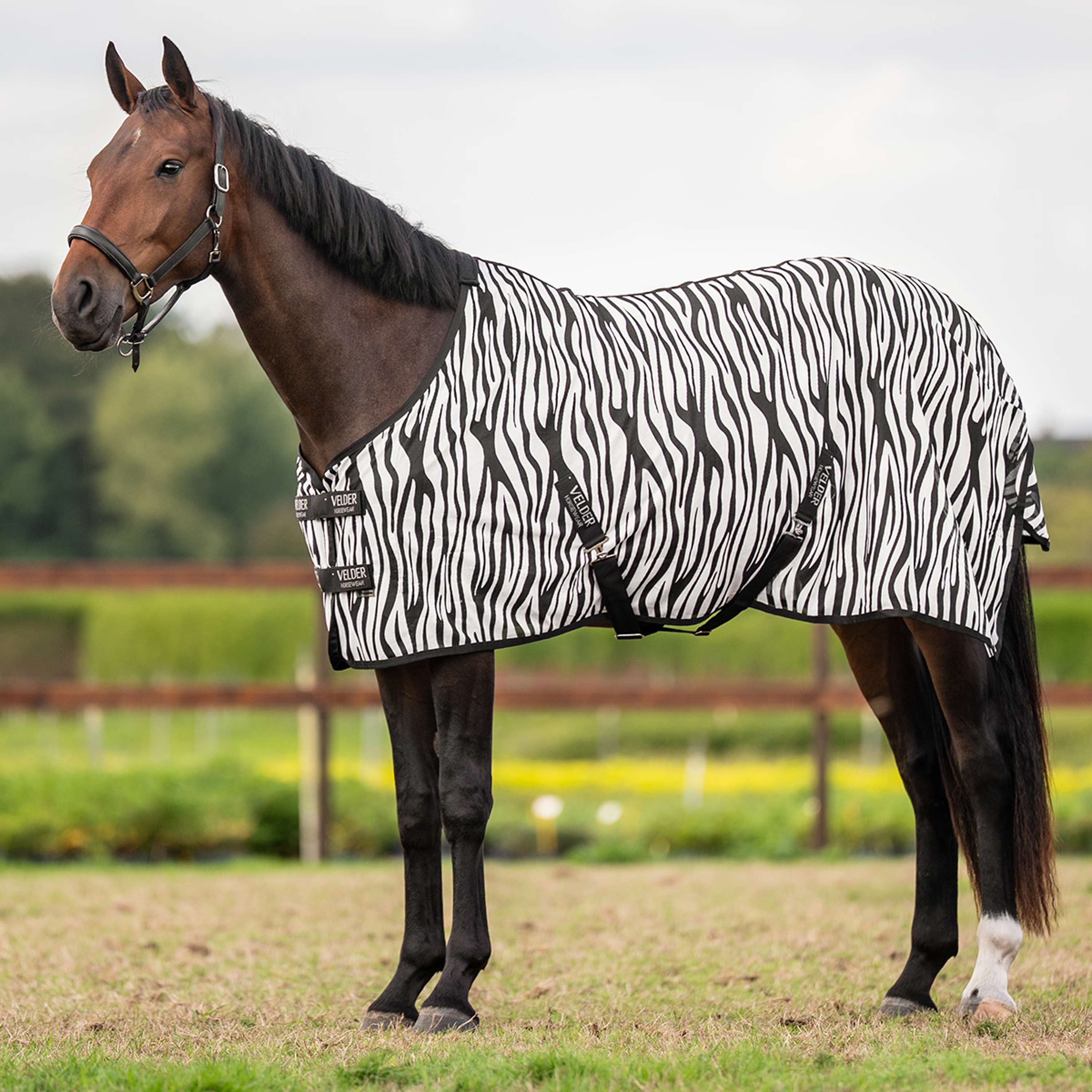 Velder Horsewear Essentials Coperta Antimosche Zebra Nero/Bianco