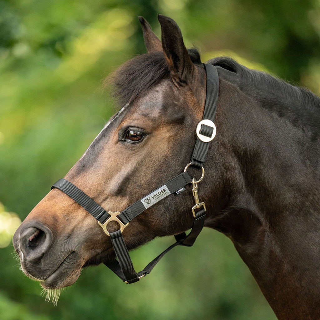 Velder Horsewear Essentials Capezzina Basic Nero