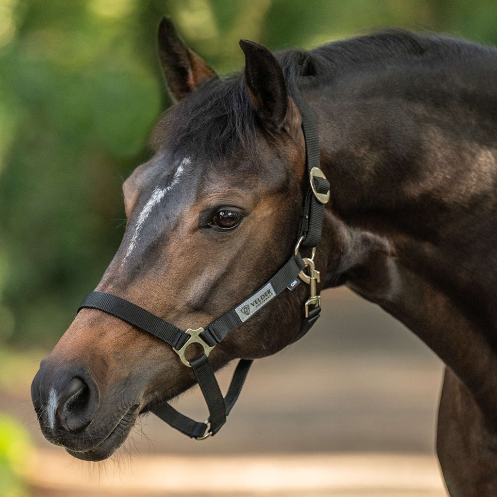 Velder Horsewear Essentials Capezzina Basic Nero