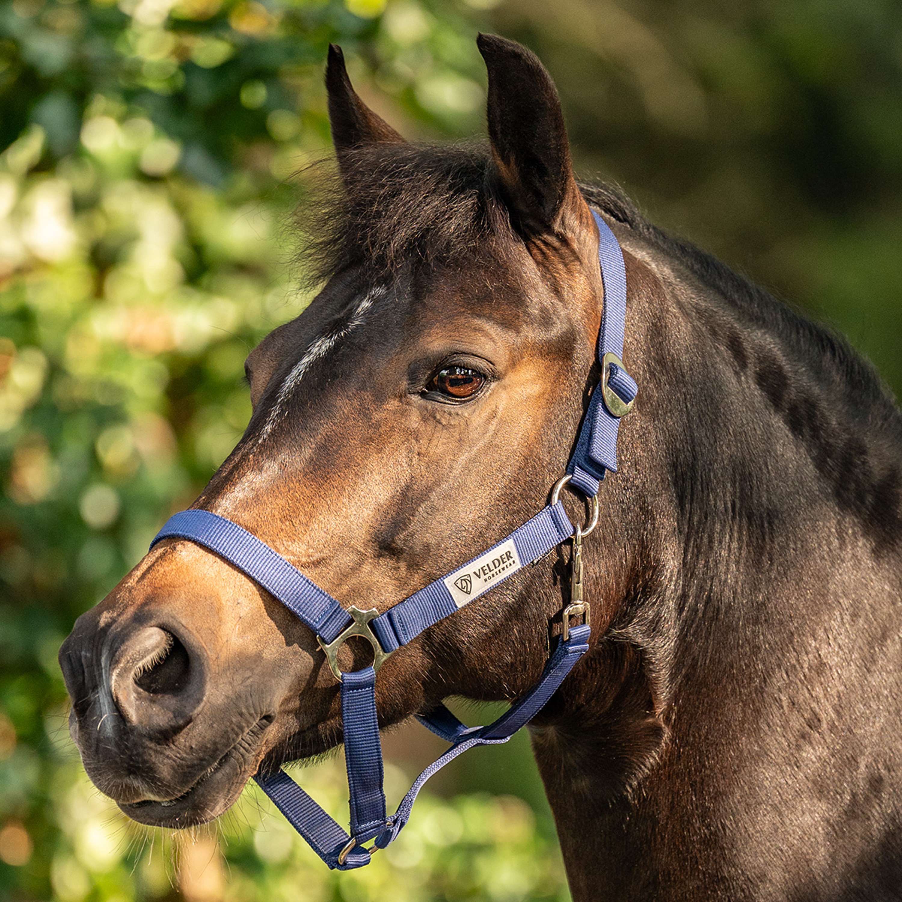 Velder Horsewear Essentials Capezzina Basic Navy