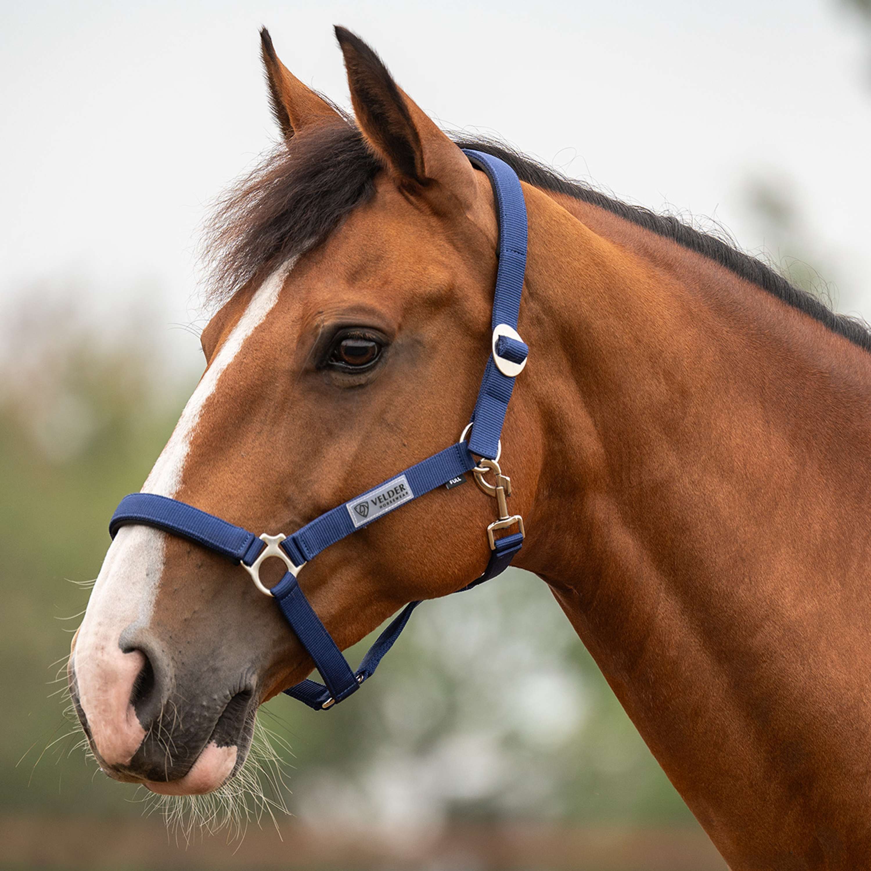 Velder Horsewear Essentials Capezzina Basic Padded Navy