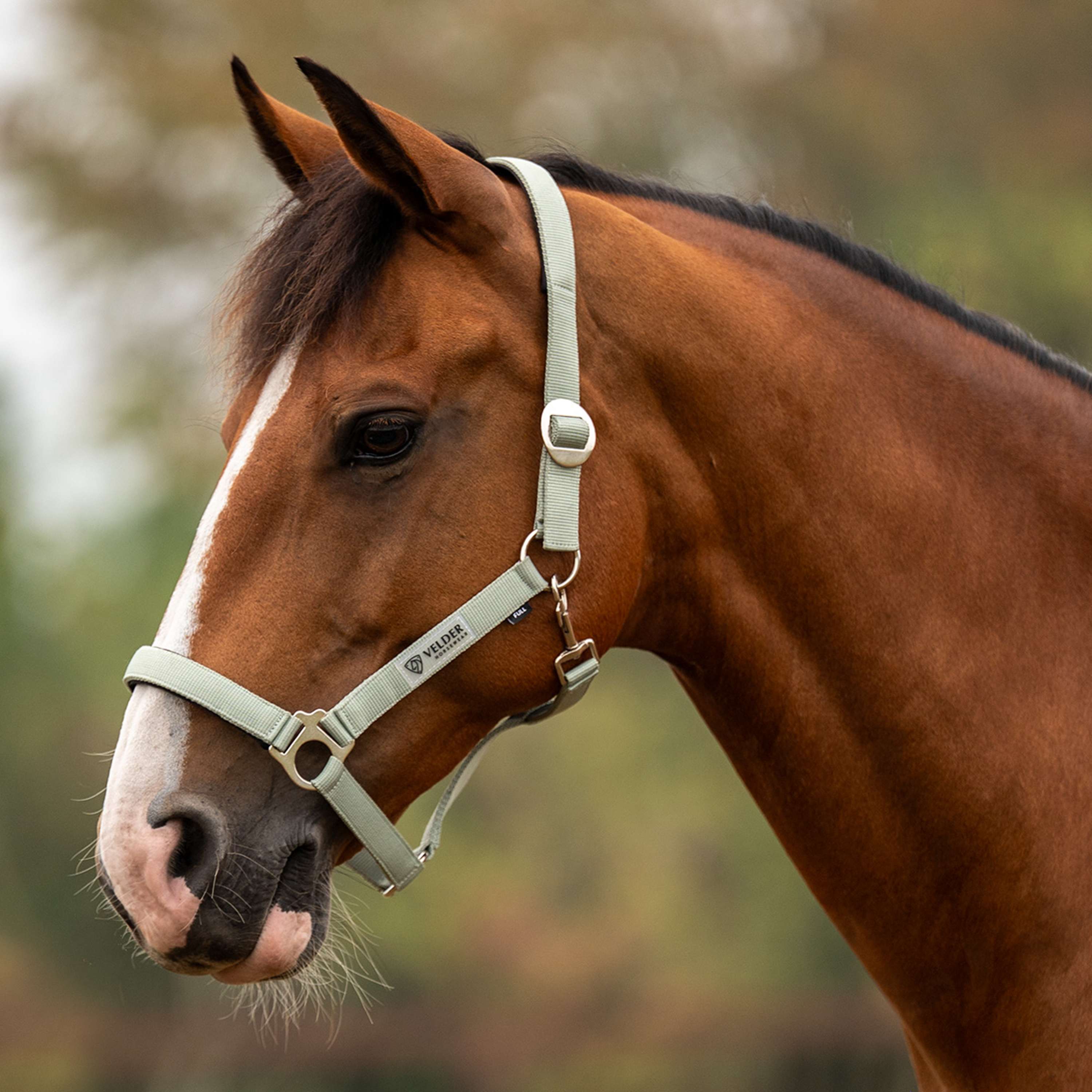 Velder Horsewear Essentials Capezzina Basic Padded Verde