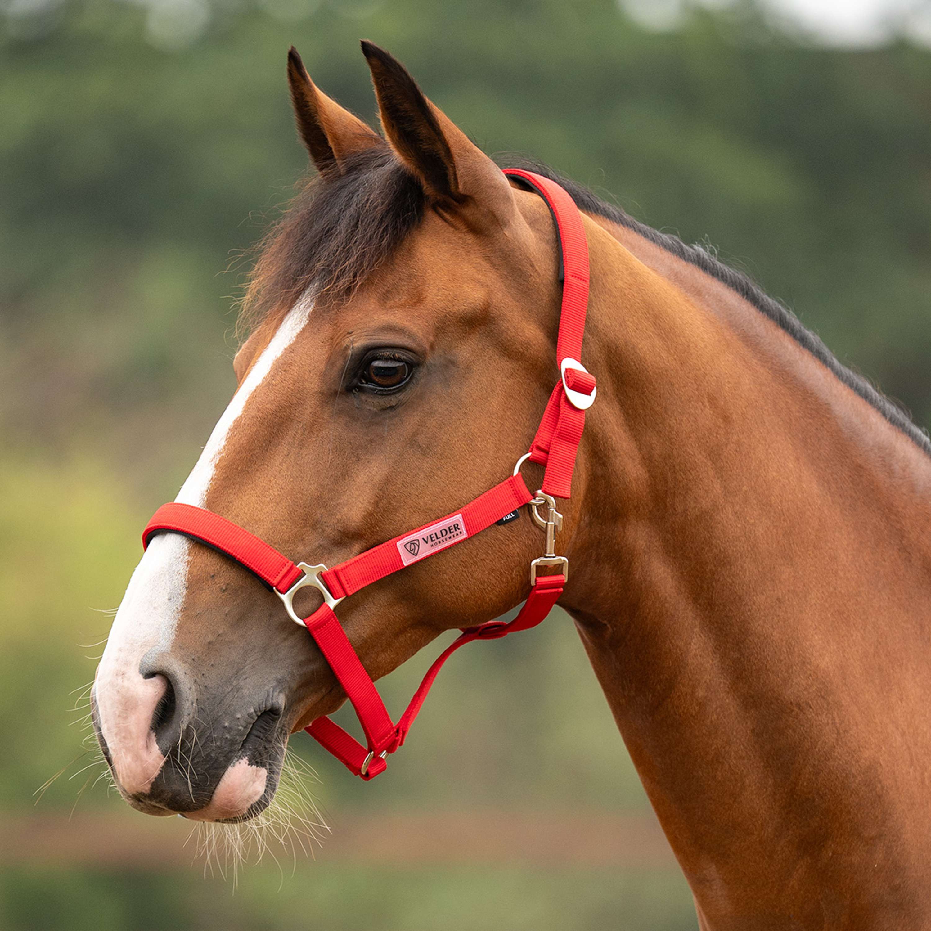 Velder Horsewear Essentials Capezzina Basic Padded High Risk Red