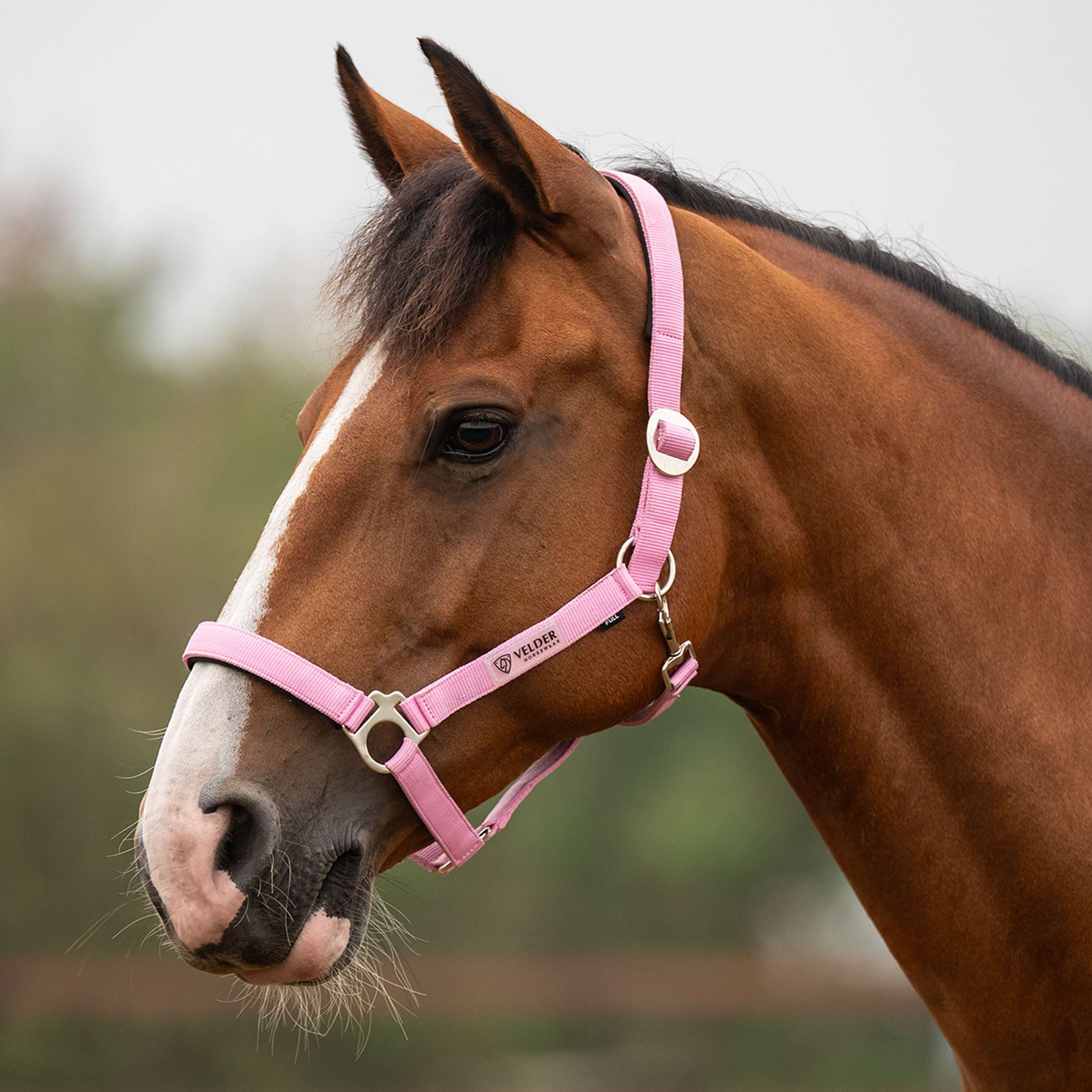 Velder Horsewear Essentials Capezzina Basic Padded Pop Pink