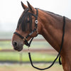 Velder Horsewear Essentials Set Cavezza Basic Summer Nero