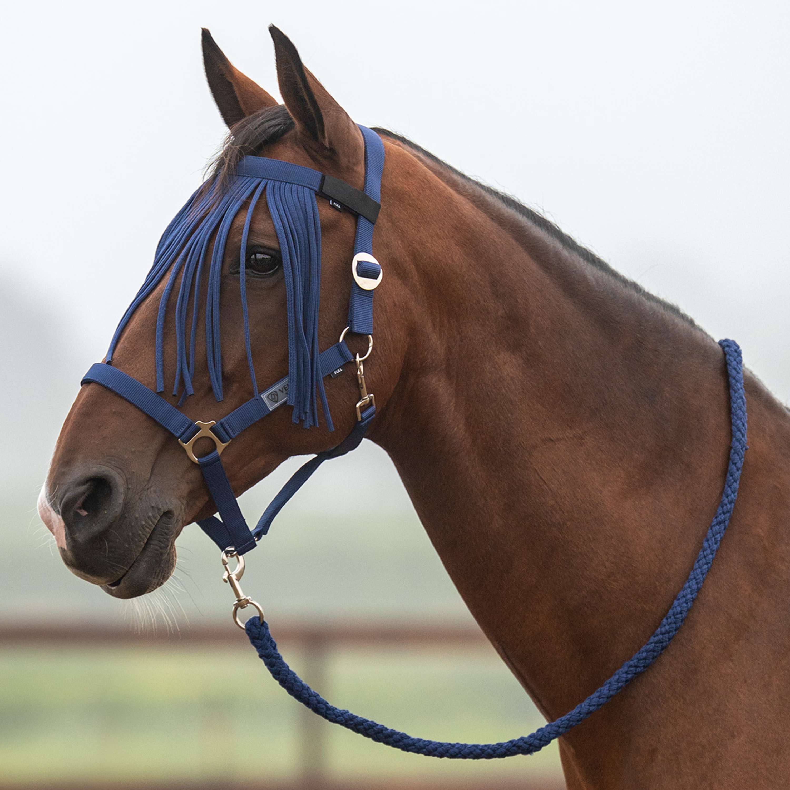 Velder Horsewear Essentials Set Cavezza Basic Summer Navy