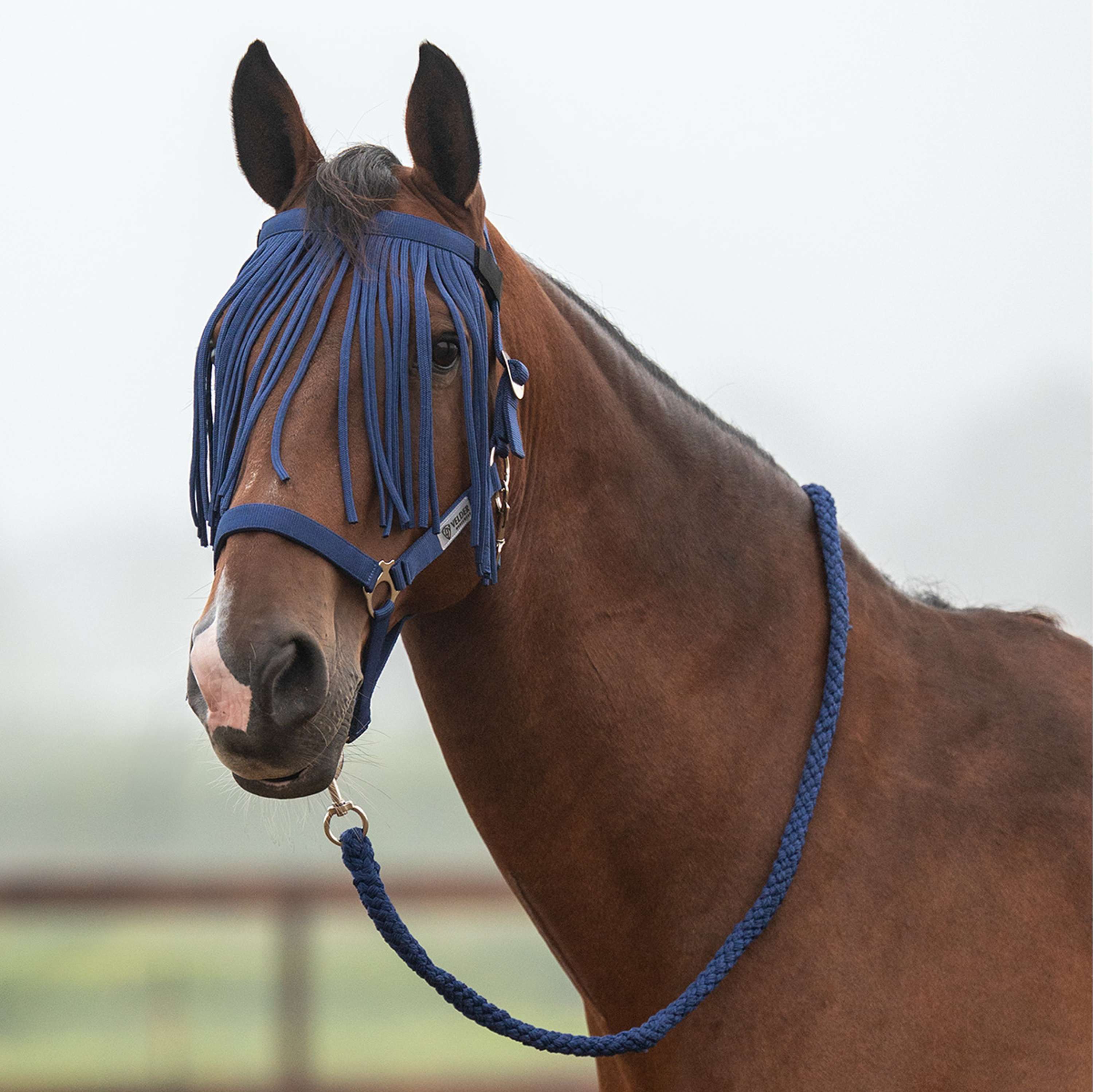Velder Horsewear Essentials Set Cavezza Basic Summer Navy