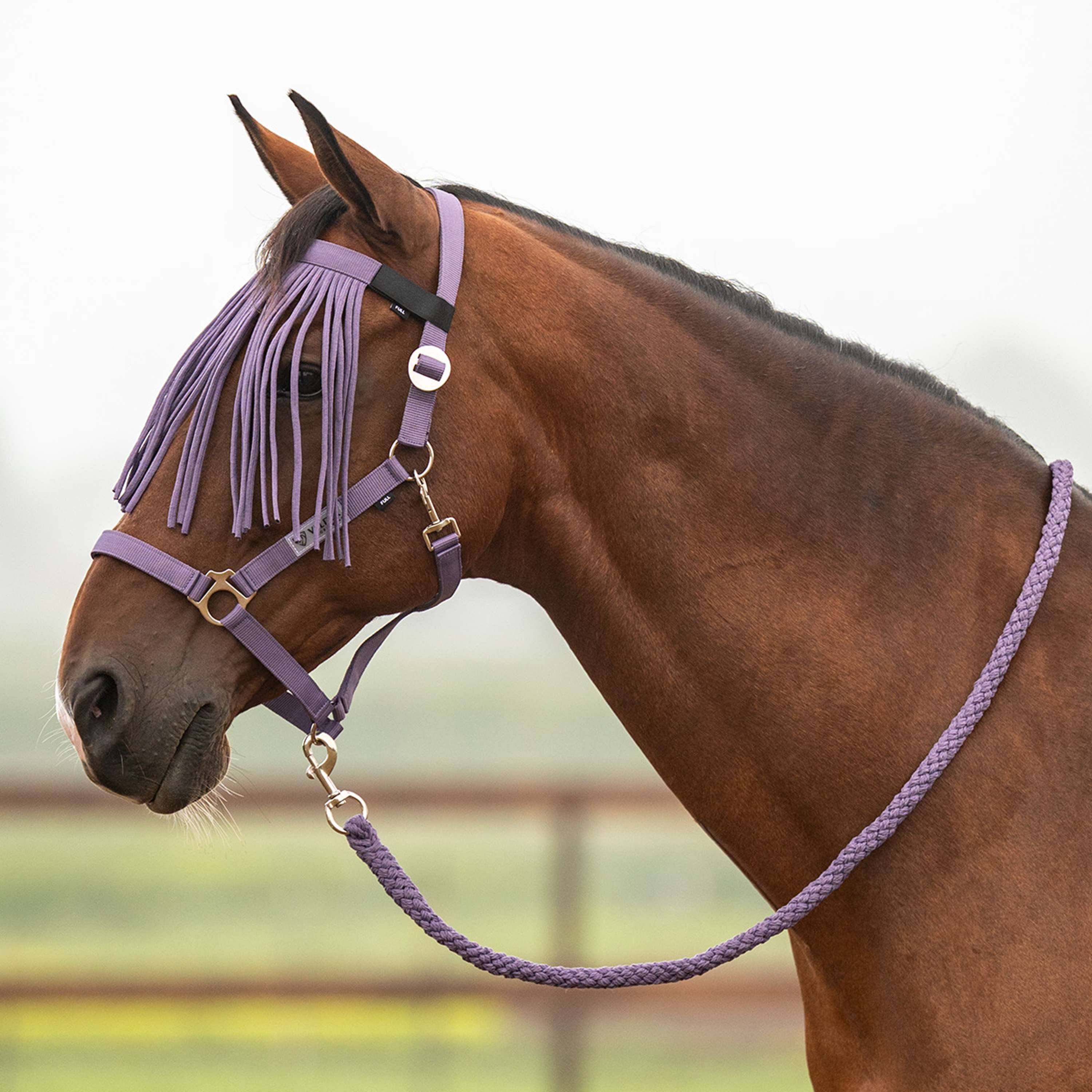 Velder Horsewear Essentials Set Cavezza Basic Summer Purple Sage