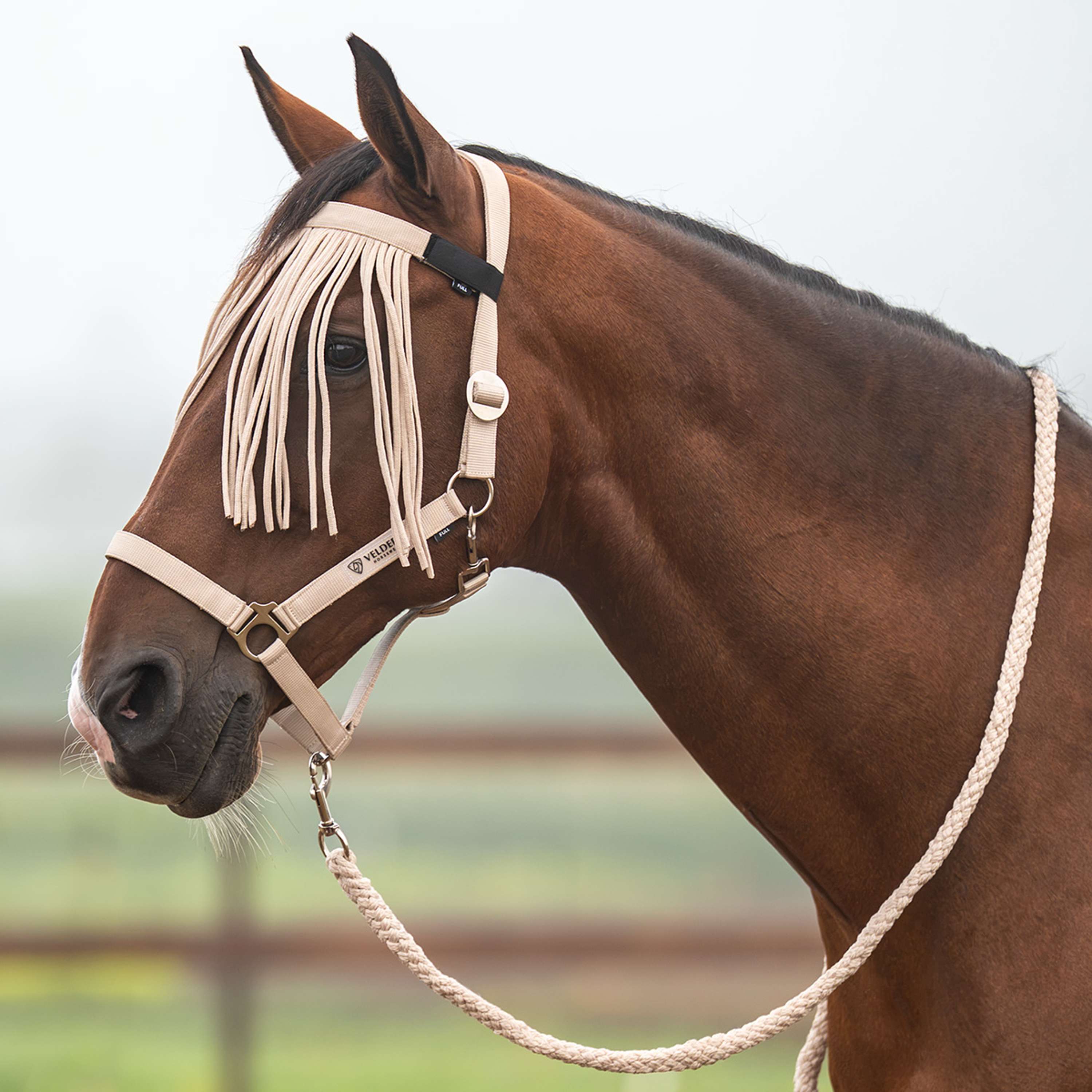 Velder Horsewear Essentials Set Cavezza Basic Summer Sand Dollar