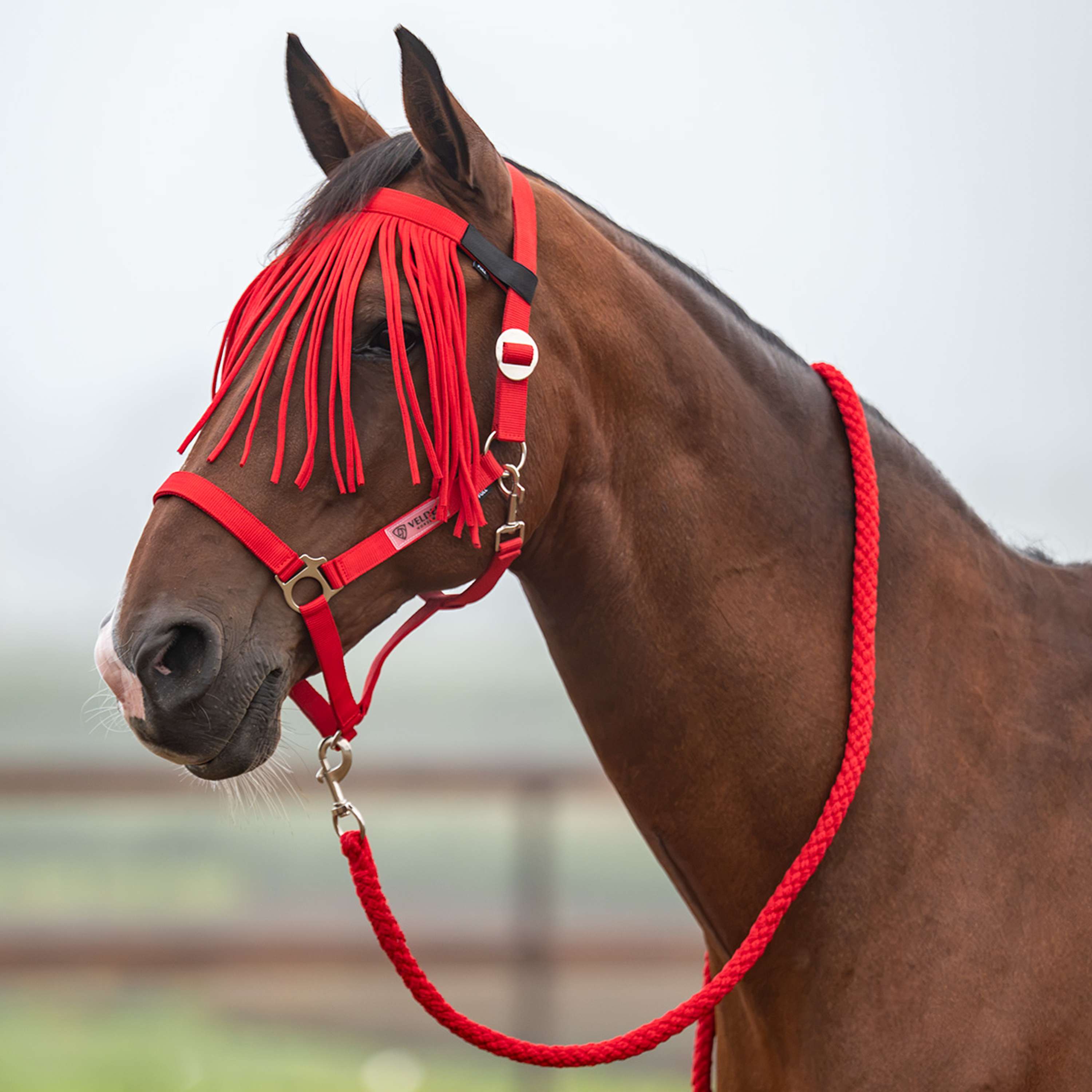 Velder Horsewear Essentials Set Cavezza Basic Summer High Risk Red