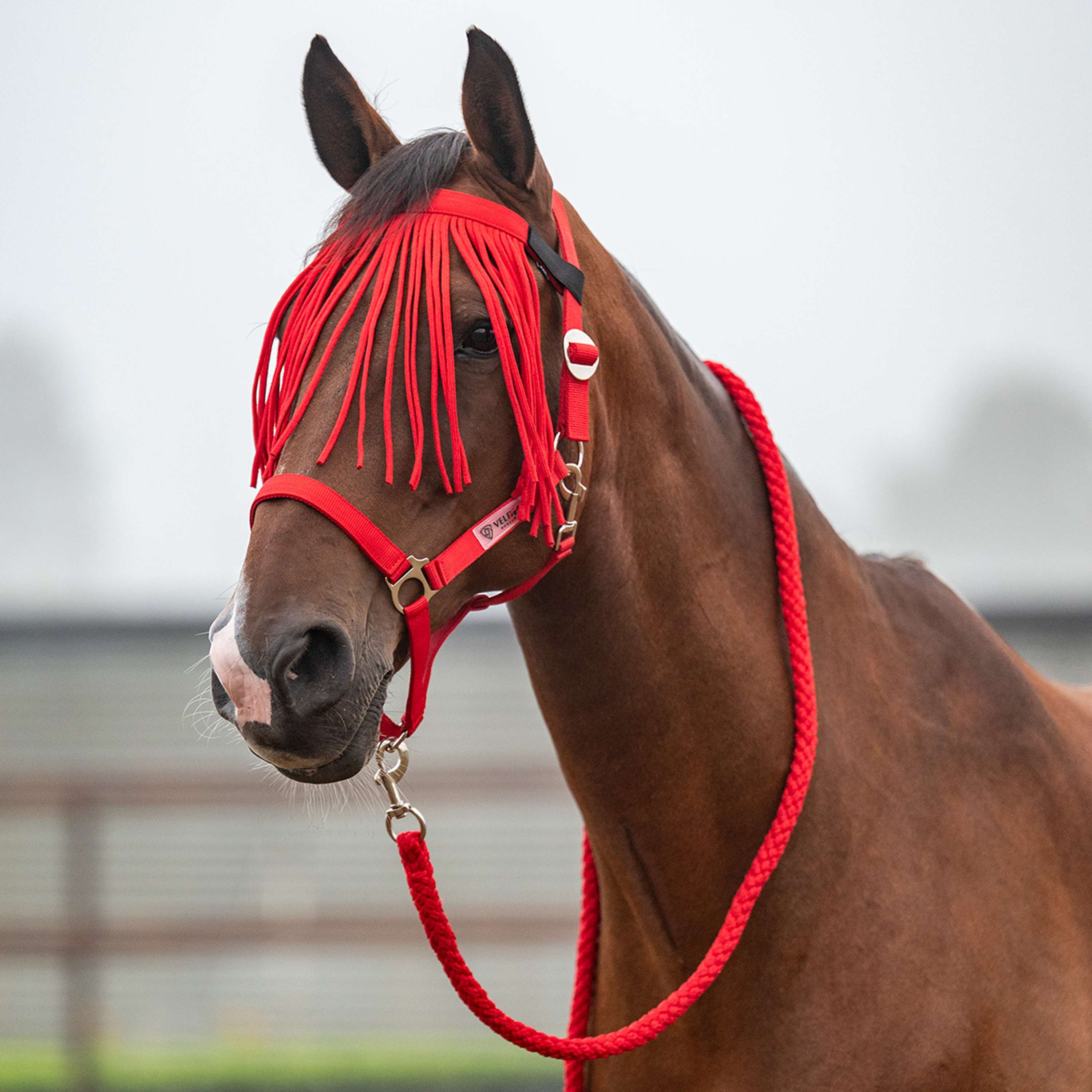 Velder Horsewear Essentials Set Cavezza Basic Summer High Risk Red