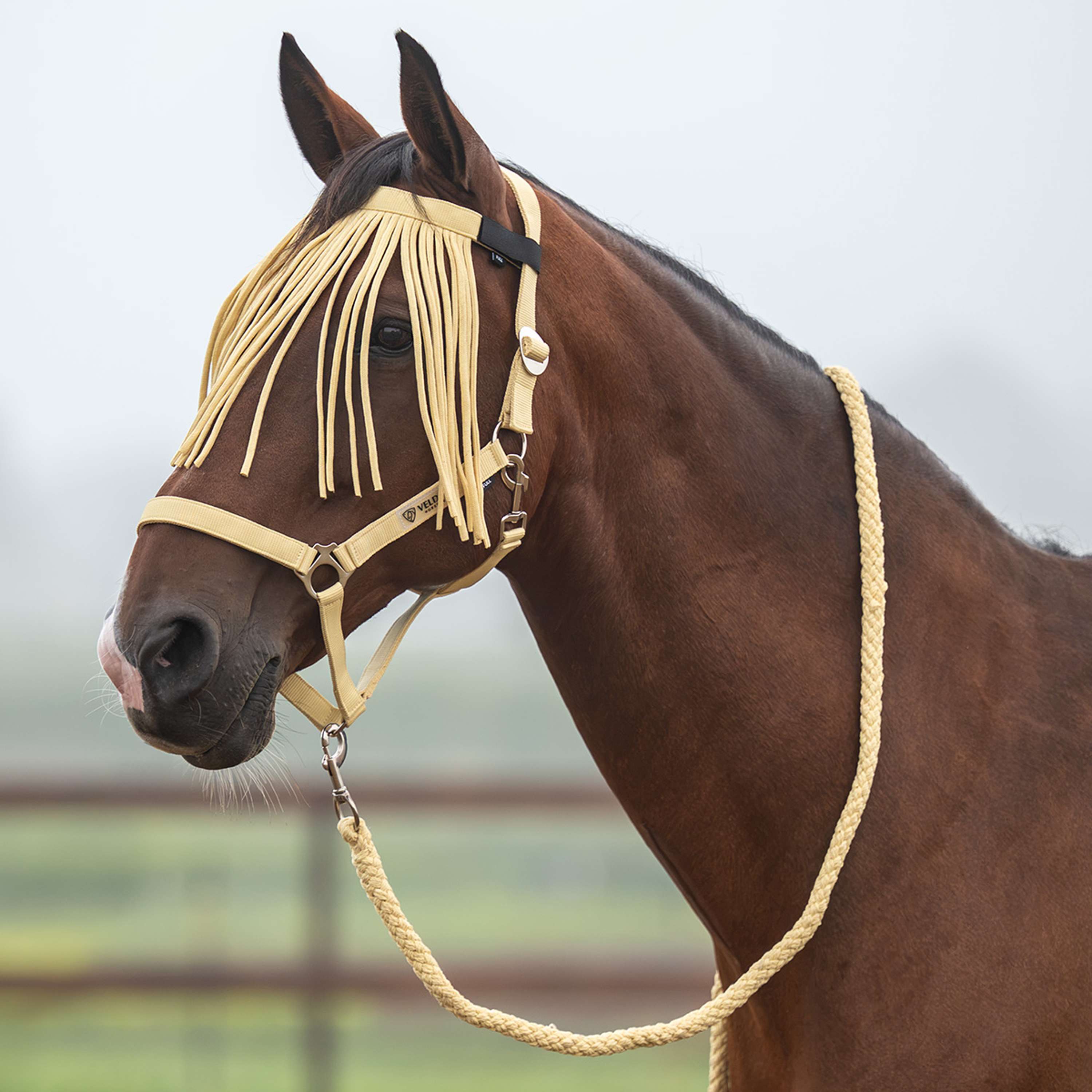 Velder Horsewear Essentials Set Cavezza Basic Summer Healing Yellow