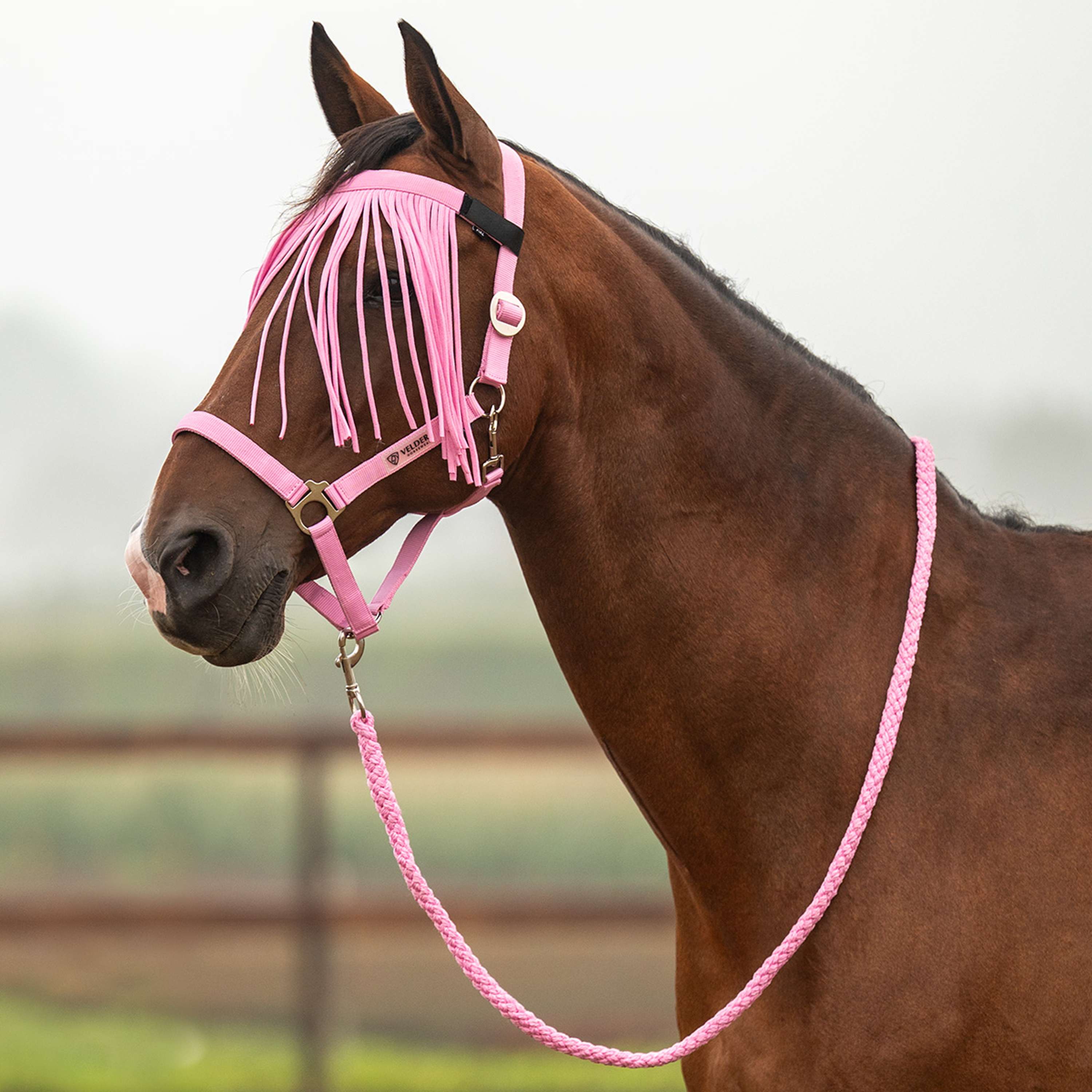 Velder Horsewear Essentials Set Cavezza Basic Summer Pop Pink