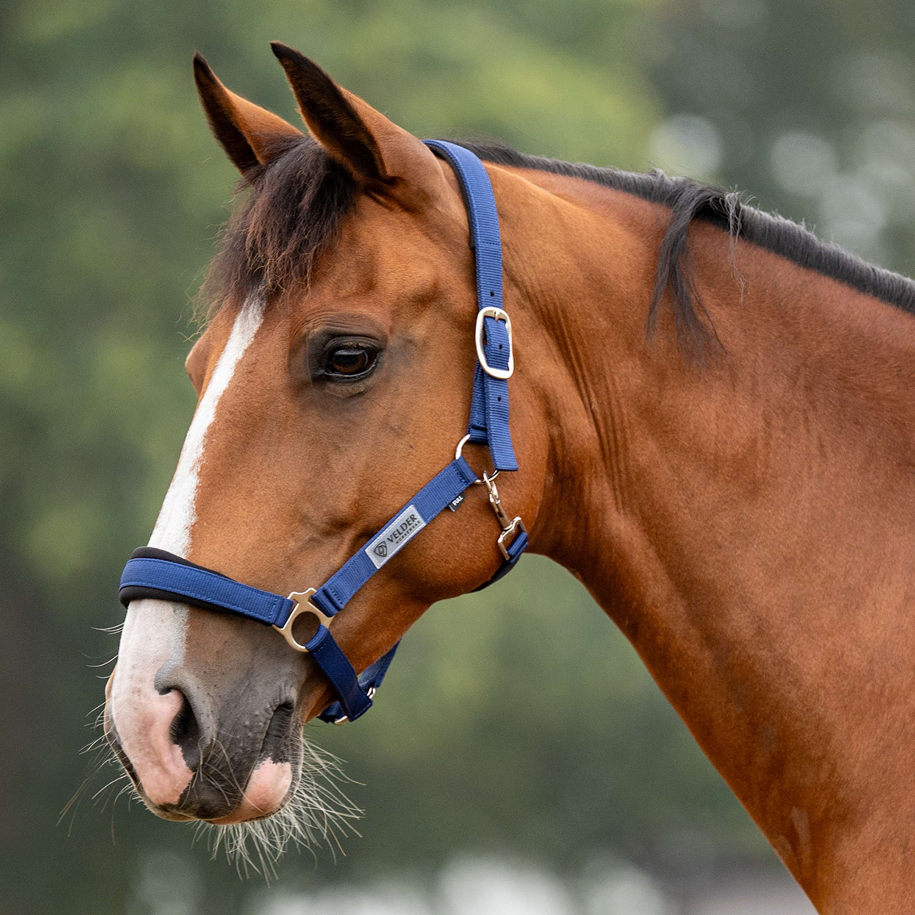 Velder Horsewear Essentials Capezzina Basic Comfort Navy