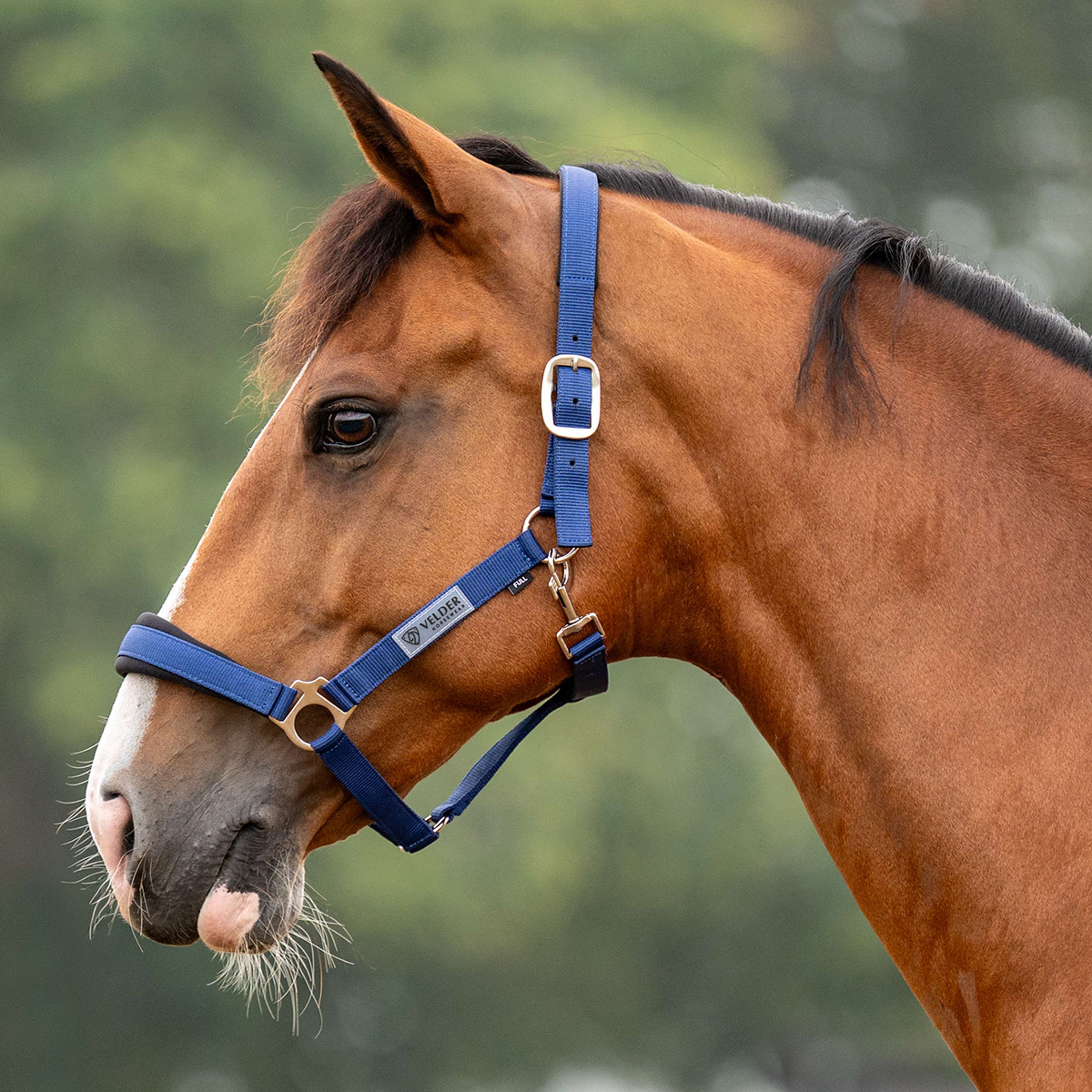 Velder Horsewear Essentials Capezzina Basic Comfort Navy