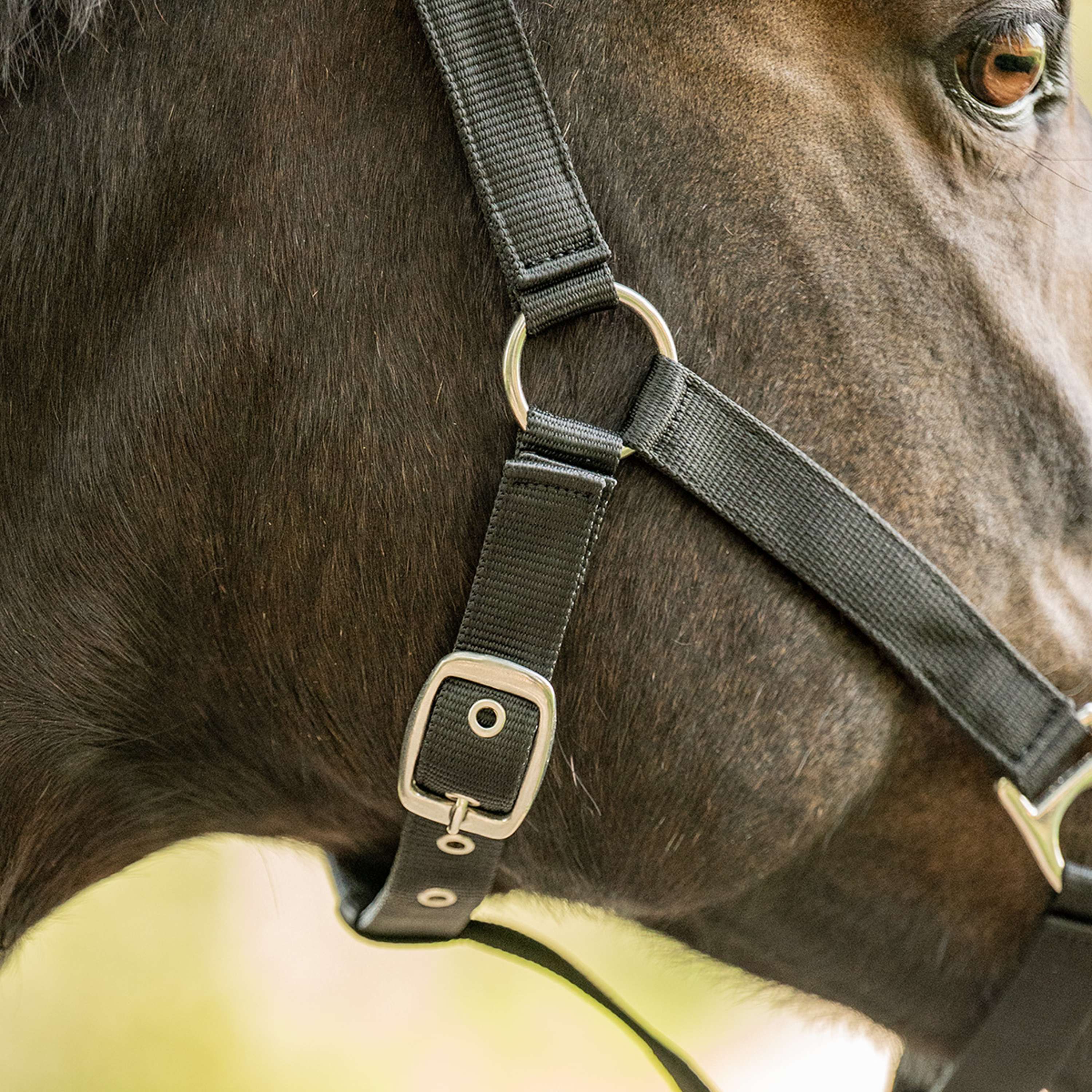Velder Horsewear Essentials Capezzina Triple Adjustable Nero
