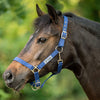 Velder Horsewear Essentials Capezzina Triple Adjustable Navy