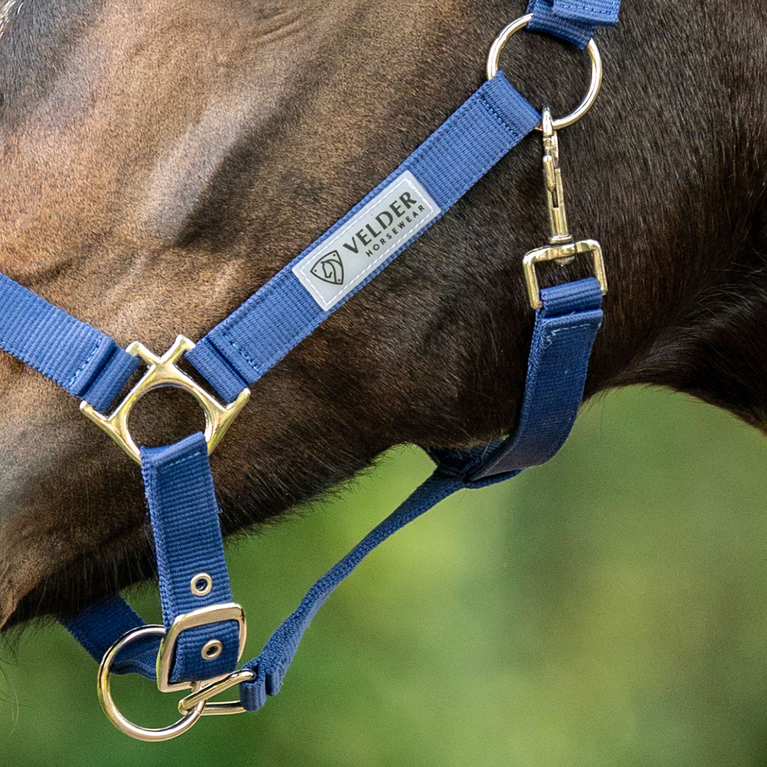 Velder Horsewear Essentials Capezzina Triple Adjustable Navy