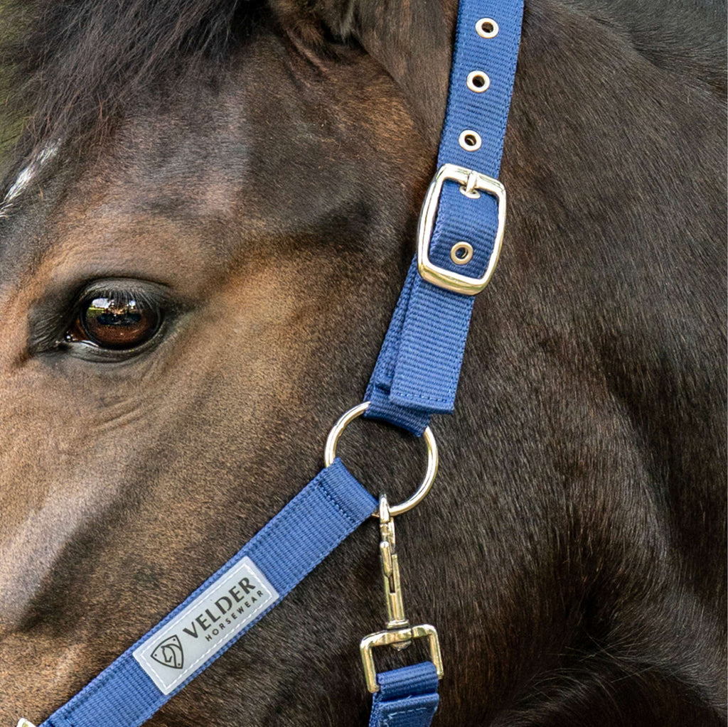 Velder Horsewear Essentials Capezzina Triple Adjustable Navy