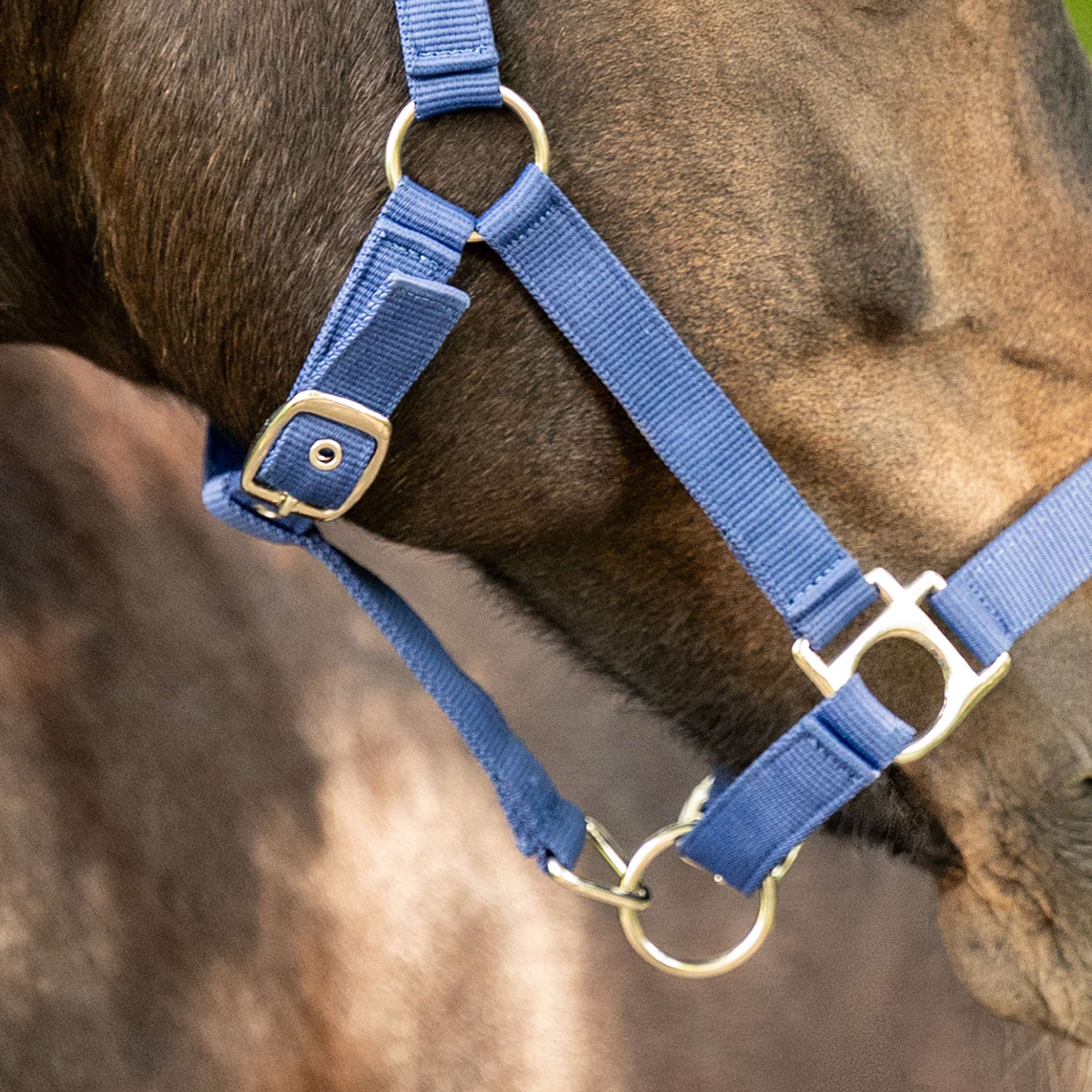 Velder Horsewear Essentials Capezzina Triple Adjustable Navy