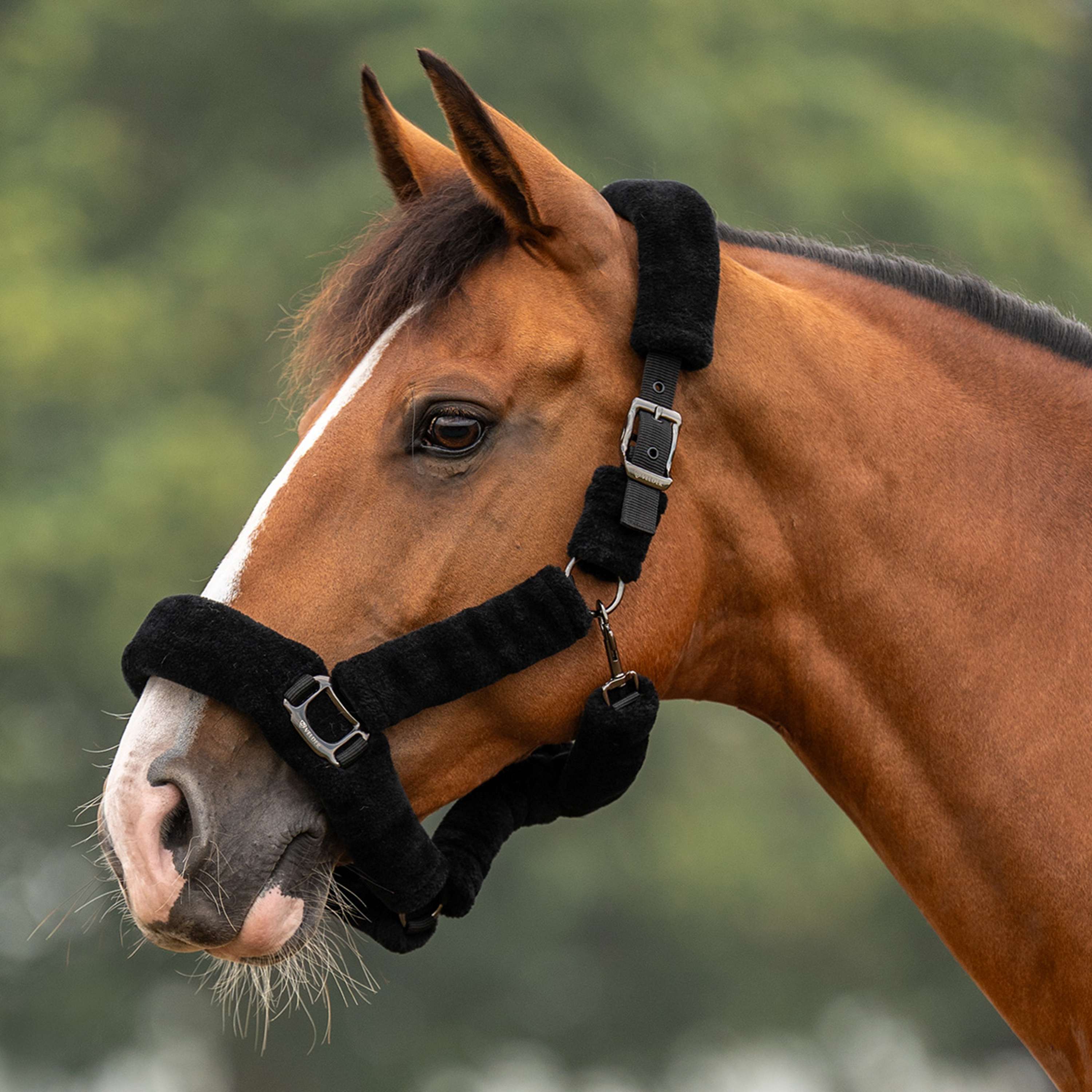 Velder Horsewear Premium Capezzina Comfort Fur Nero