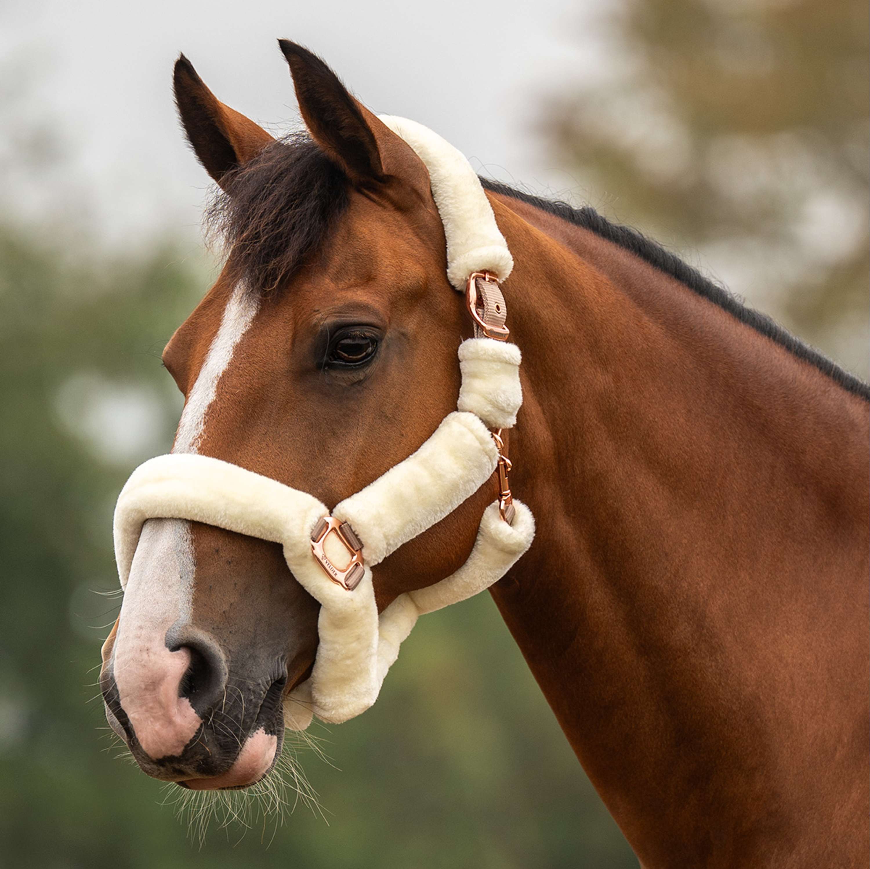 Velder Horsewear Premium Capezzina Comfort Fur Natural/Rosé